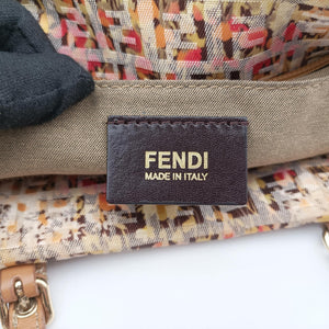 Pre-owned Fendi Zucchino Brown×Multicolour canvas 8BH214 handbag | stylenewstar