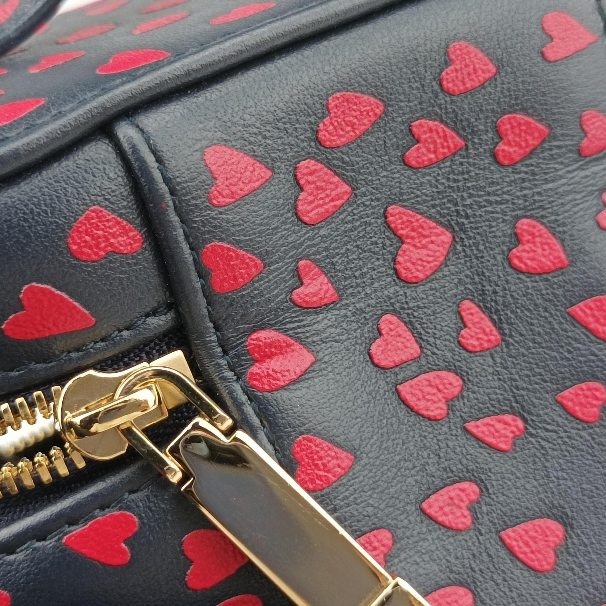 Pre-owned Christian Dior Micro Lady Dior Vanity Case Black×red Leather  shoulderbag | stylenewstar