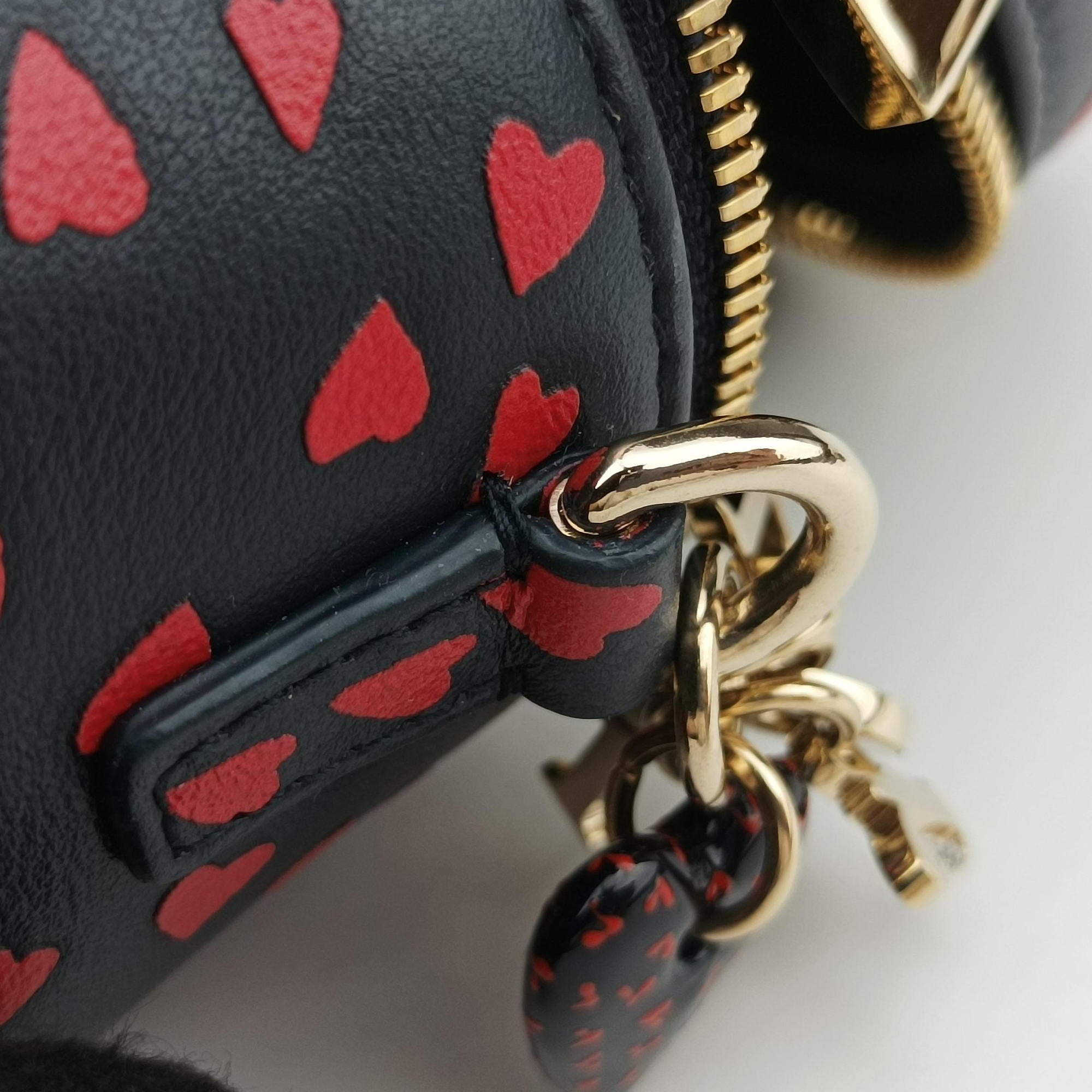 Pre-owned Christian Dior Micro Lady Dior Vanity Case Black×red Leather  shoulderbag | stylenewstar