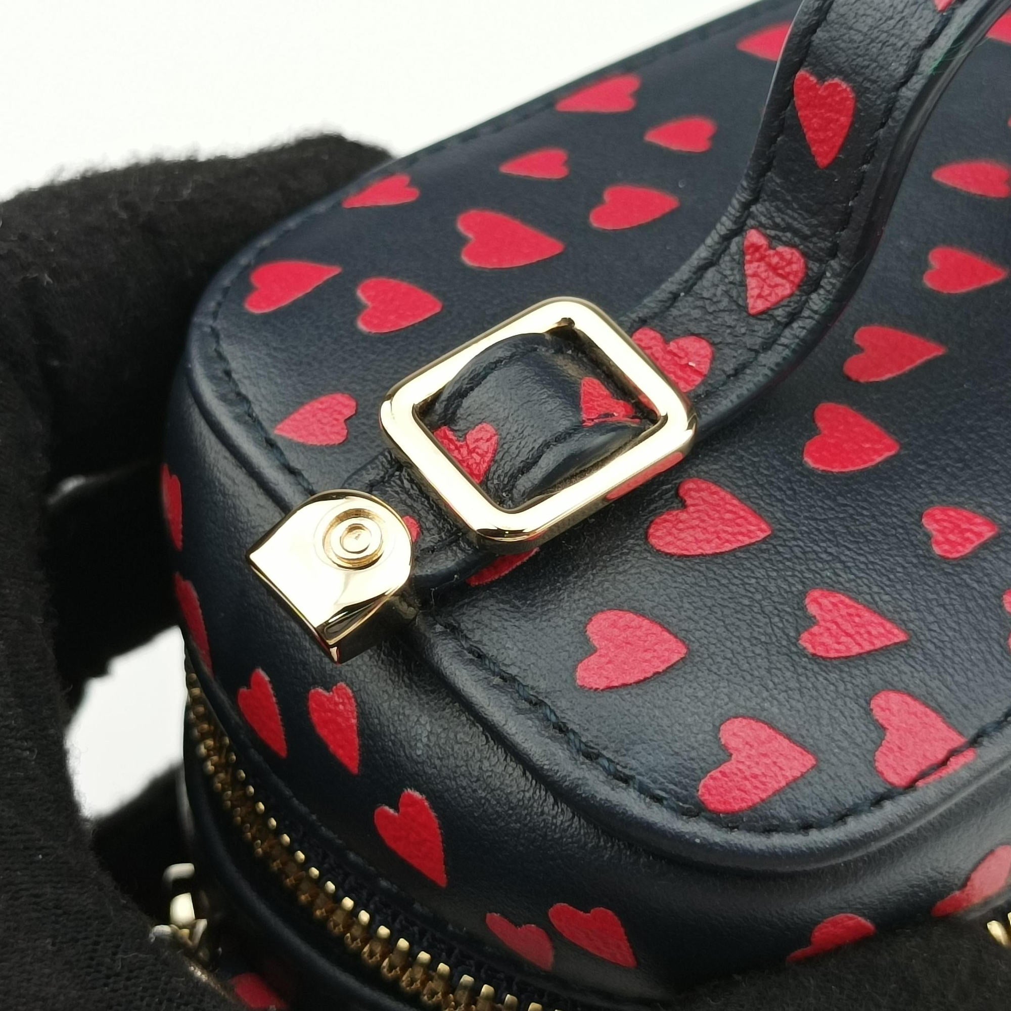 Pre-owned Christian Dior Micro Lady Dior Vanity Case Black×red Leather  shoulderbag | stylenewstar