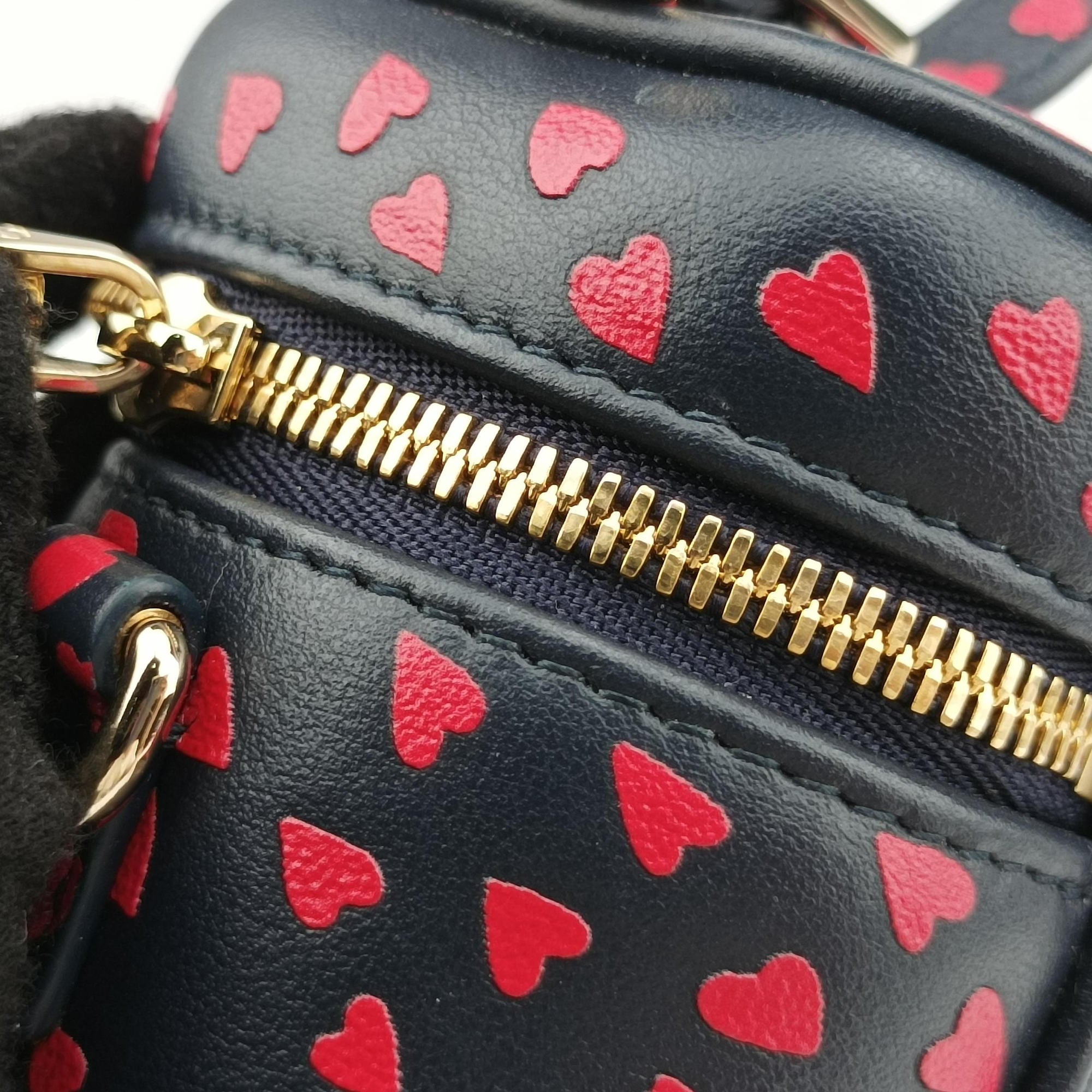 Pre-owned Christian Dior Micro Lady Dior Vanity Case Black×red Leather  shoulderbag | stylenewstar