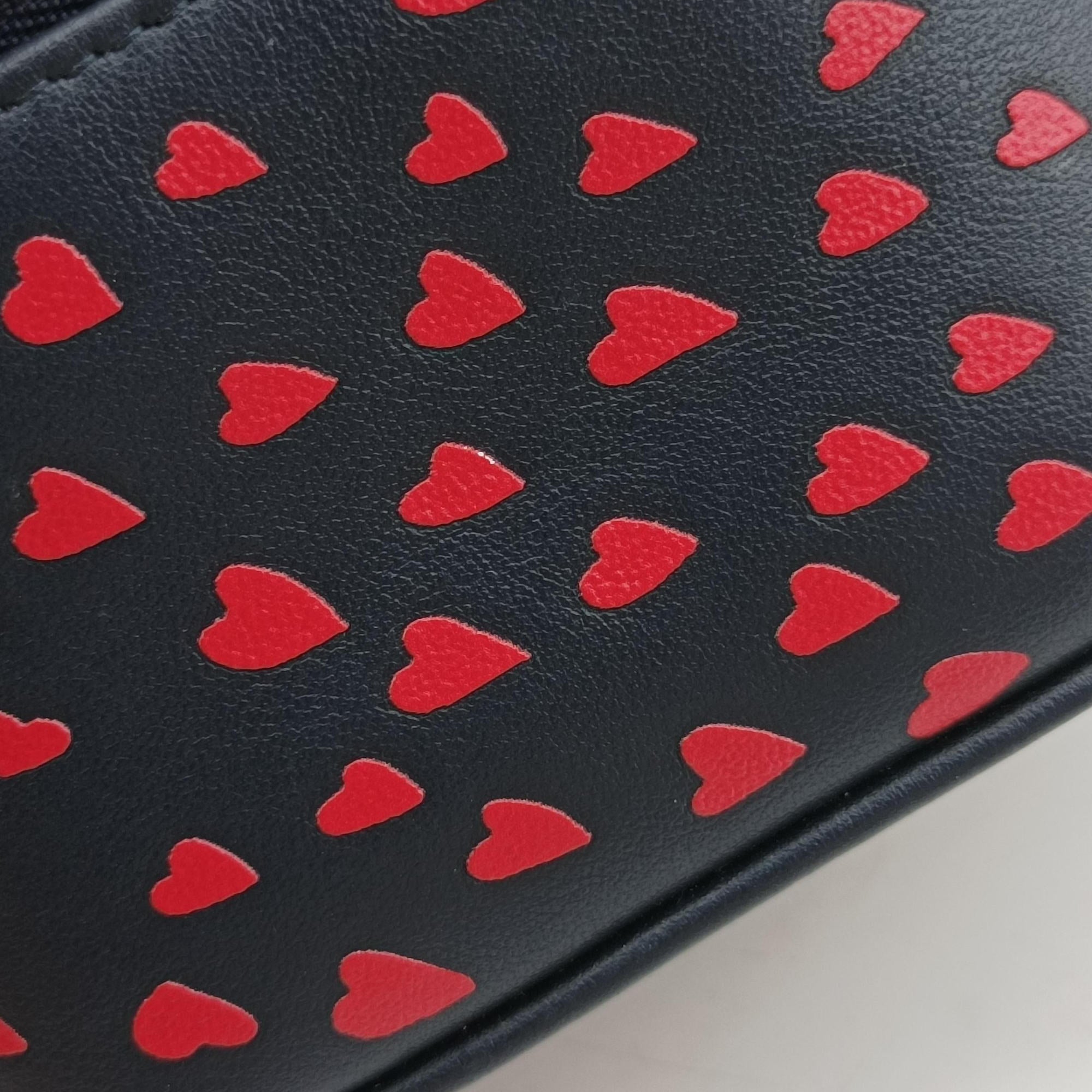 Pre-owned Christian Dior Micro Lady Dior Vanity Case Black×red Leather  shoulderbag | stylenewstar