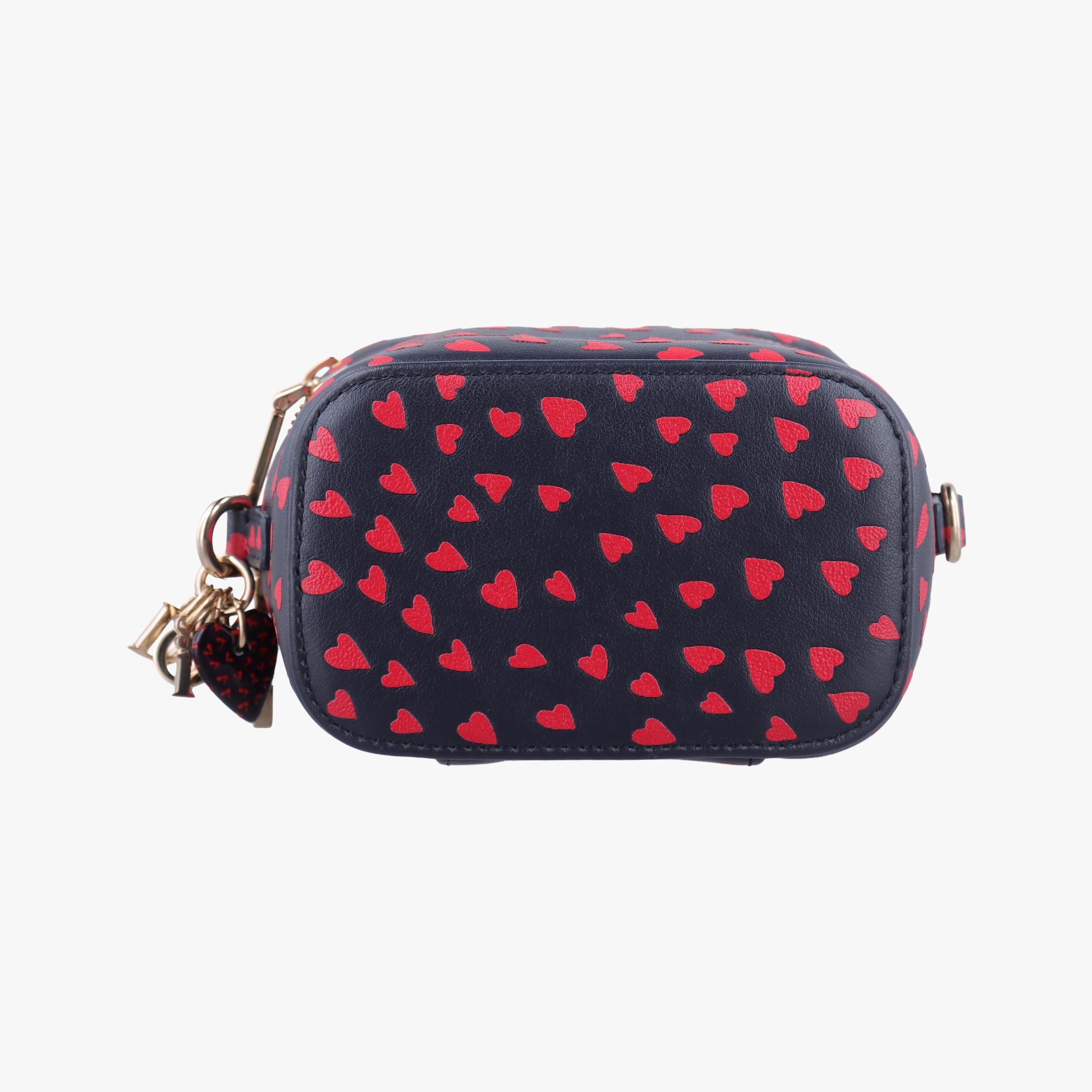 Pre-owned Christian Dior Micro Lady Dior Vanity Case Black×red Leather  shoulderbag | stylenewstar