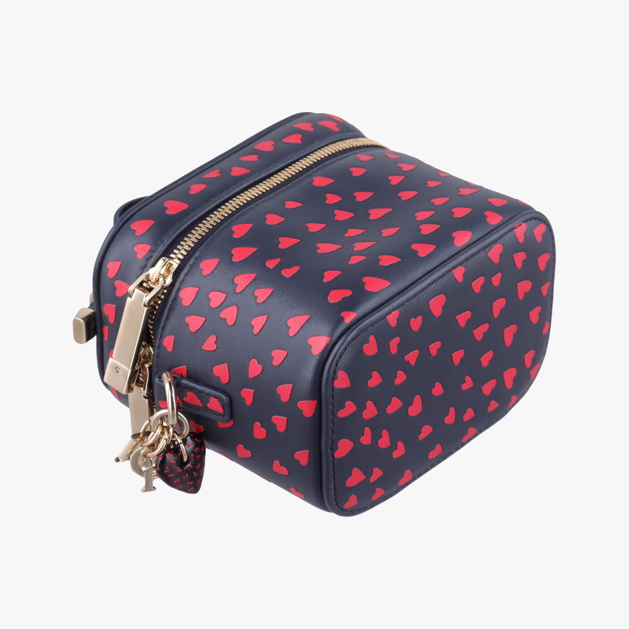 Pre-owned Christian Dior Micro Lady Dior Vanity Case Black×red Leather  shoulderbag | stylenewstar