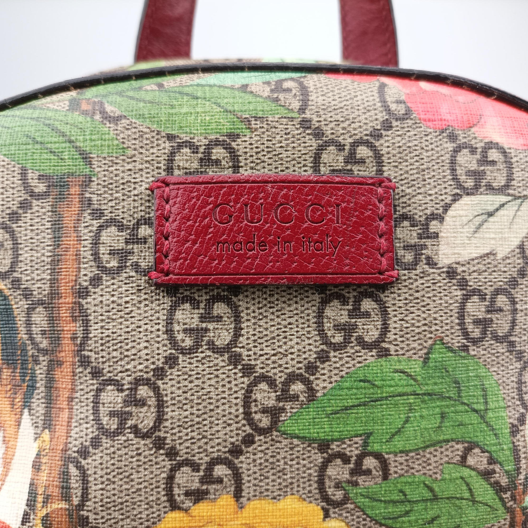 Pre-owned Gucci GG Supreme Tian Beige × Red × Multi PVC coated canvas×Leather 427042 backpack/rucksack | stylenewstar