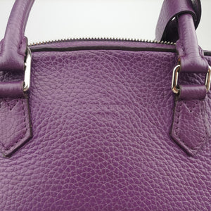 Pre-owned Louis Vuitton Parnassea Alma PM Violet Taurillon Leather M48881 shoulderbag | stylenewstar