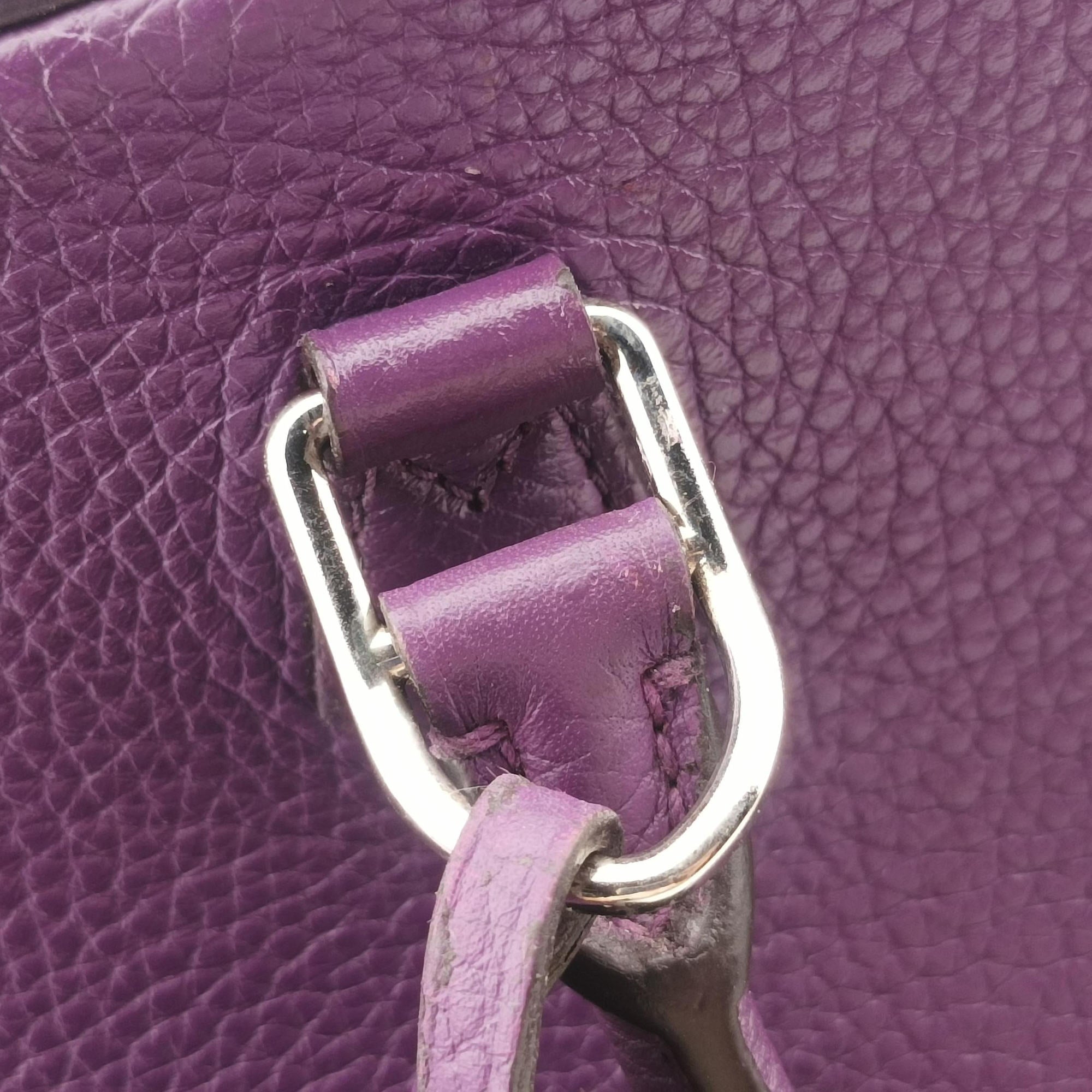 Pre-owned Louis Vuitton Parnassea Alma PM Violet Taurillon Leather M48881 shoulderbag | stylenewstar