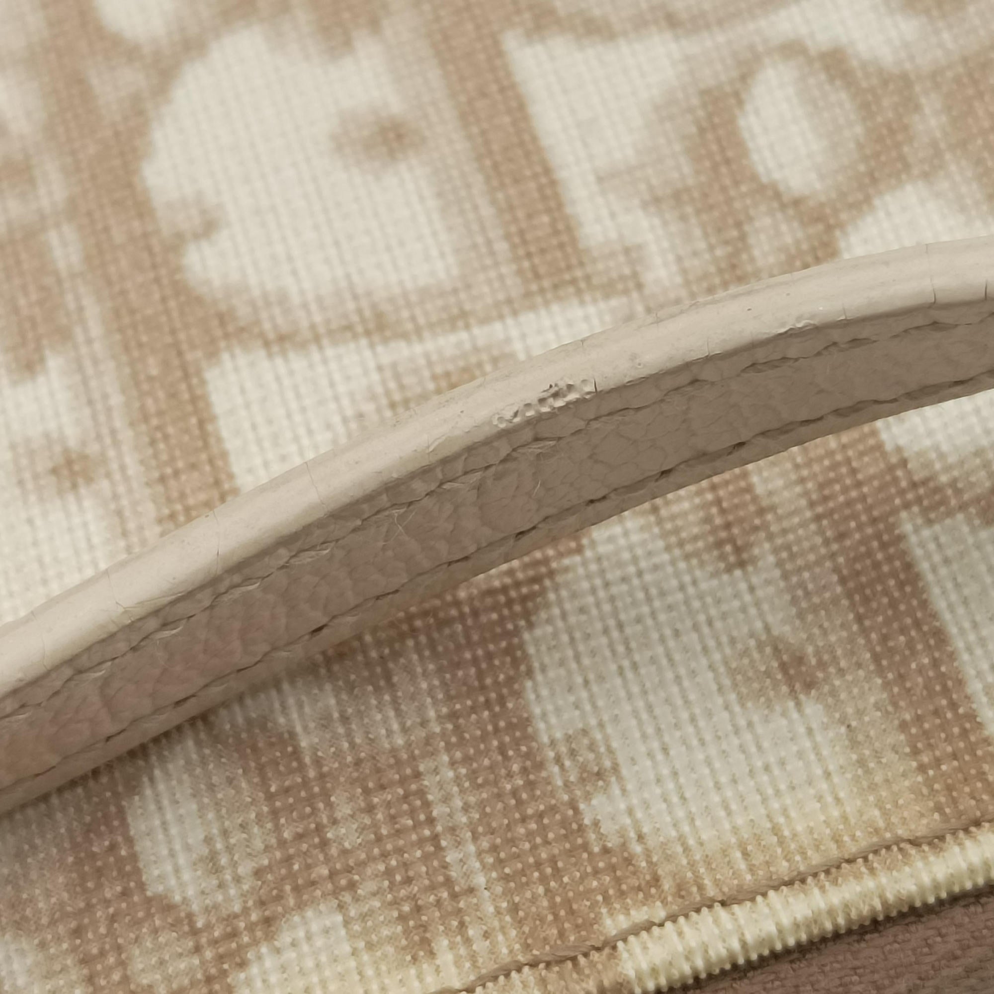 Pre-owned Christian Dior Saddle Beige PVC Coated Canvas Floral Embroidery  shoulderbag | stylenewstar