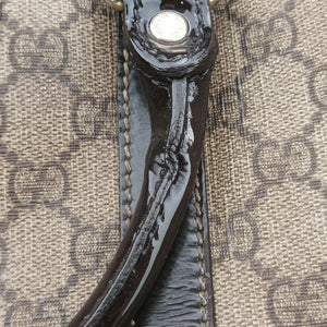 Pre-owned Gucci GG plus Spring Joy GG Supreme Brown PVC coated canvas 193603 handbag | stylenewstar