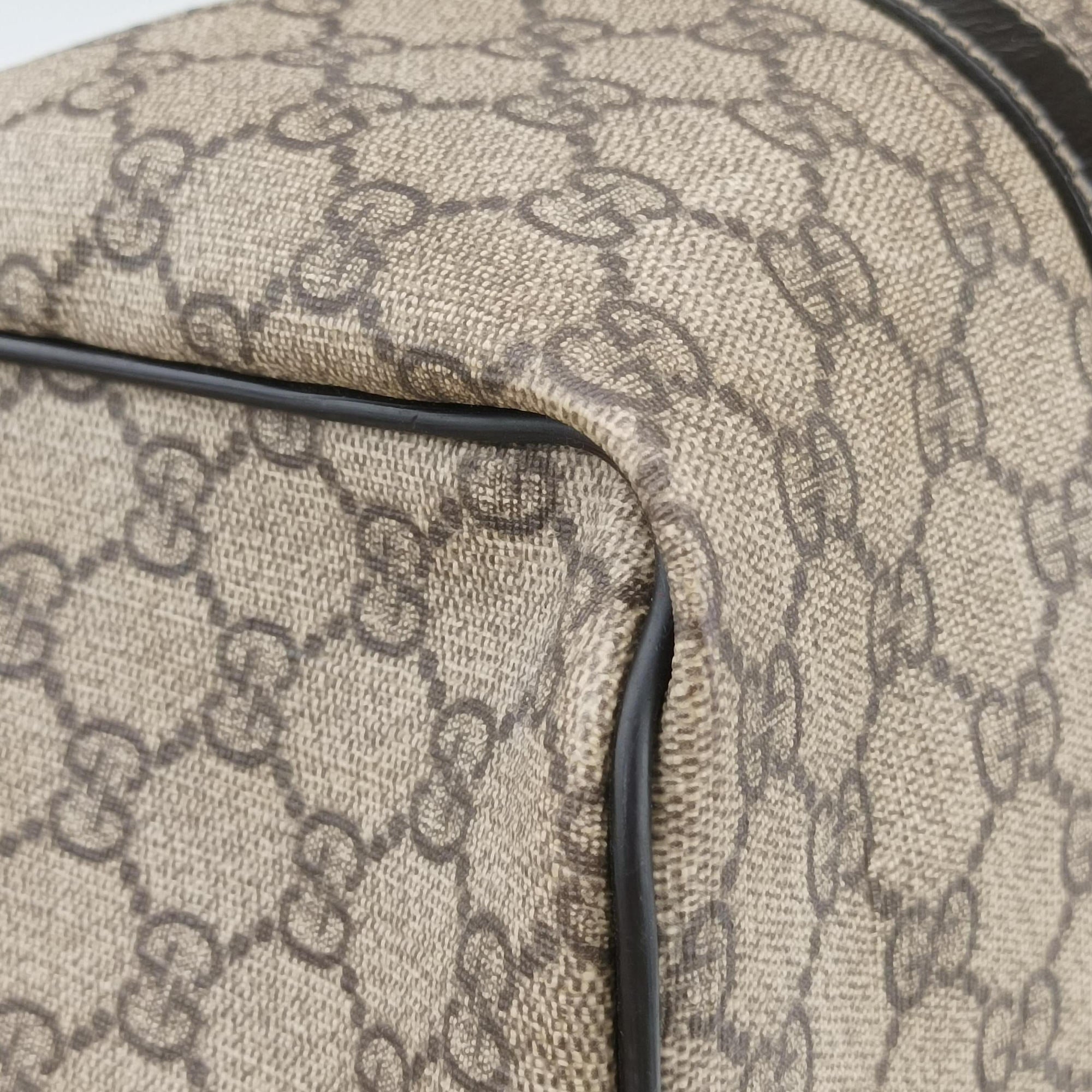 Pre-owned Gucci GG plus Spring Joy GG Supreme Brown PVC coated canvas 193603 handbag | stylenewstar