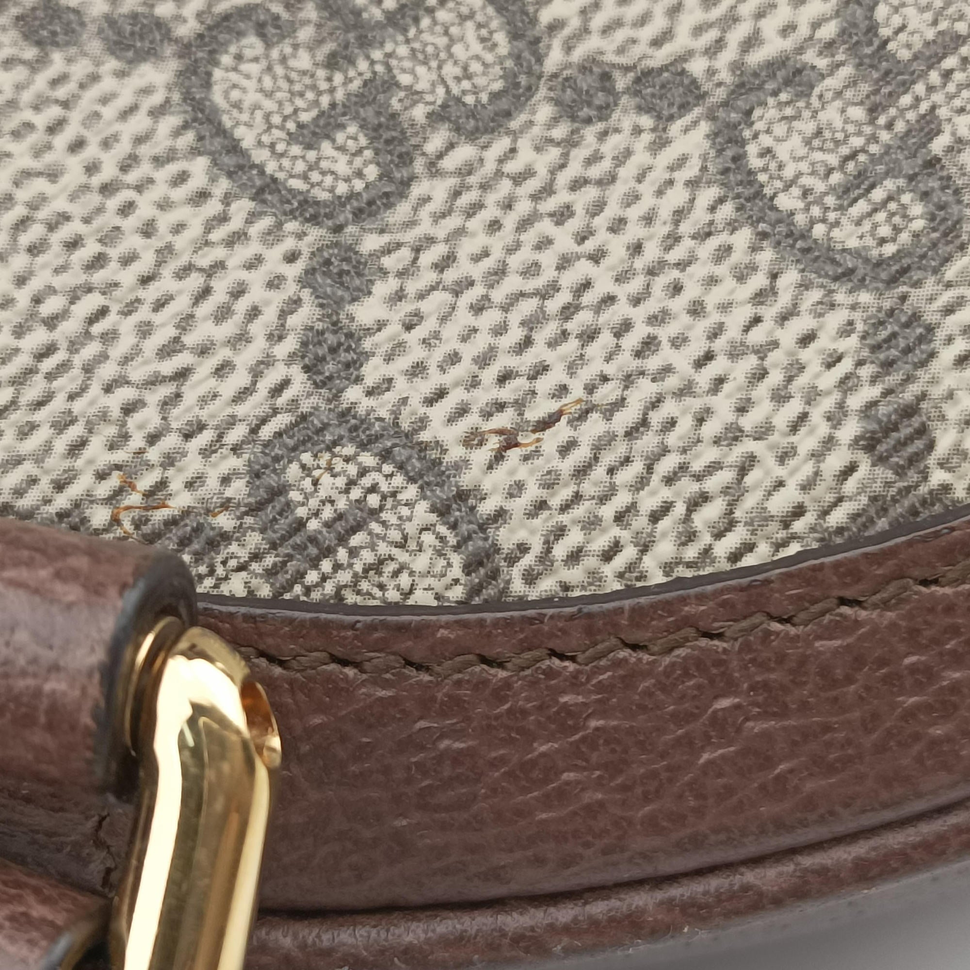 Vintage Gucci Ophidia Brown×beige×multi PVC coated canvas×Leather 598661 backpack/rucksack | stylenewstar