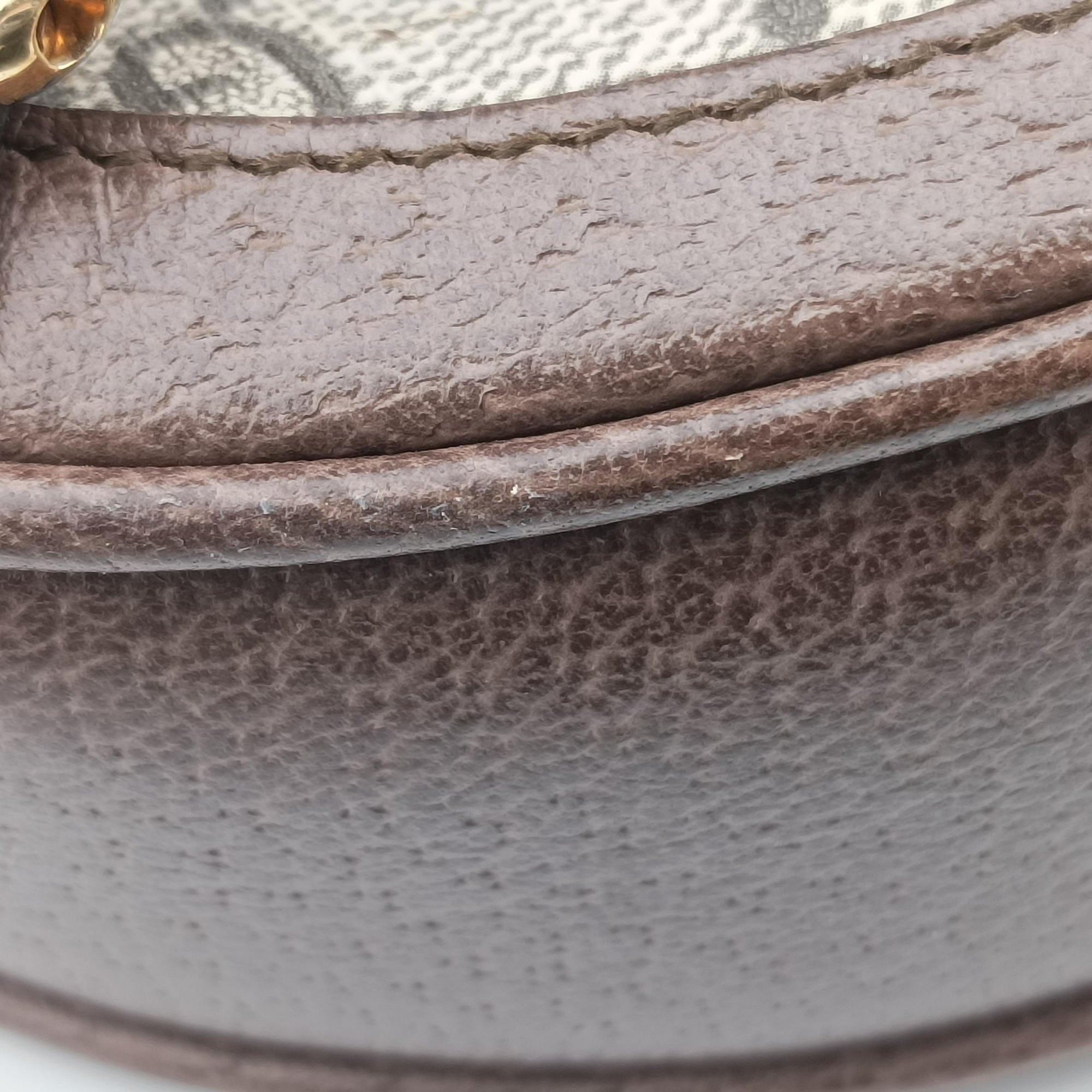 Vintage Gucci Ophidia Brown×beige×multi PVC coated canvas×Leather 598661 backpack/rucksack | stylenewstar