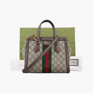 Secondhand Gucci Ophidia brown×red×green PVC coated canvas×Leather 547551 shoulderbag | stylenewstar