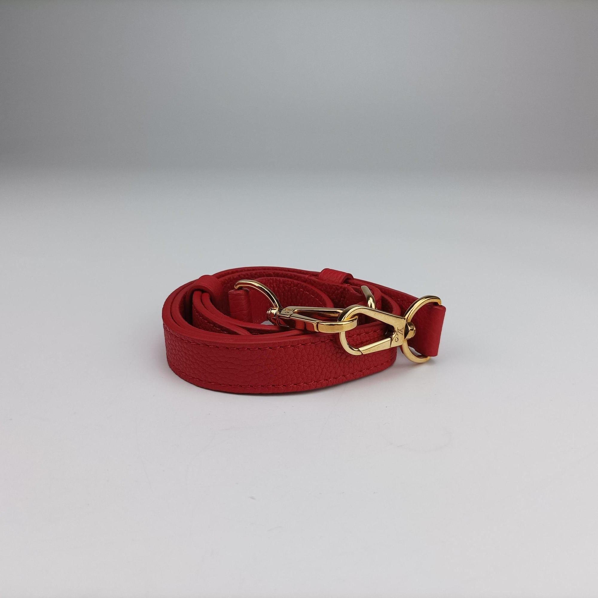 Secondhand Louis Vuitton DOUBLE V ruby Monogram Canvas ácalf leather M54624 shoulderbag | stylenewstar