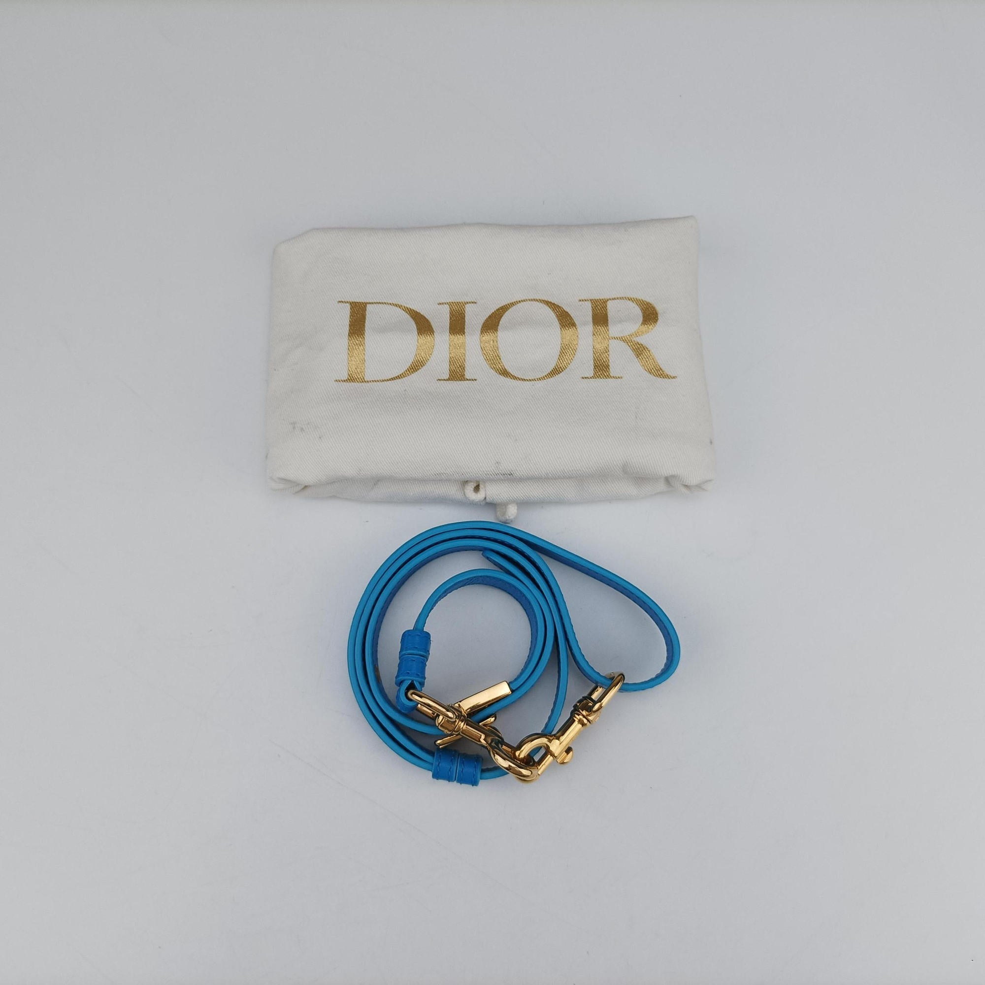 Secondhand Christian Dior Bobby Blue leather  shoulderbag | stylenewstar