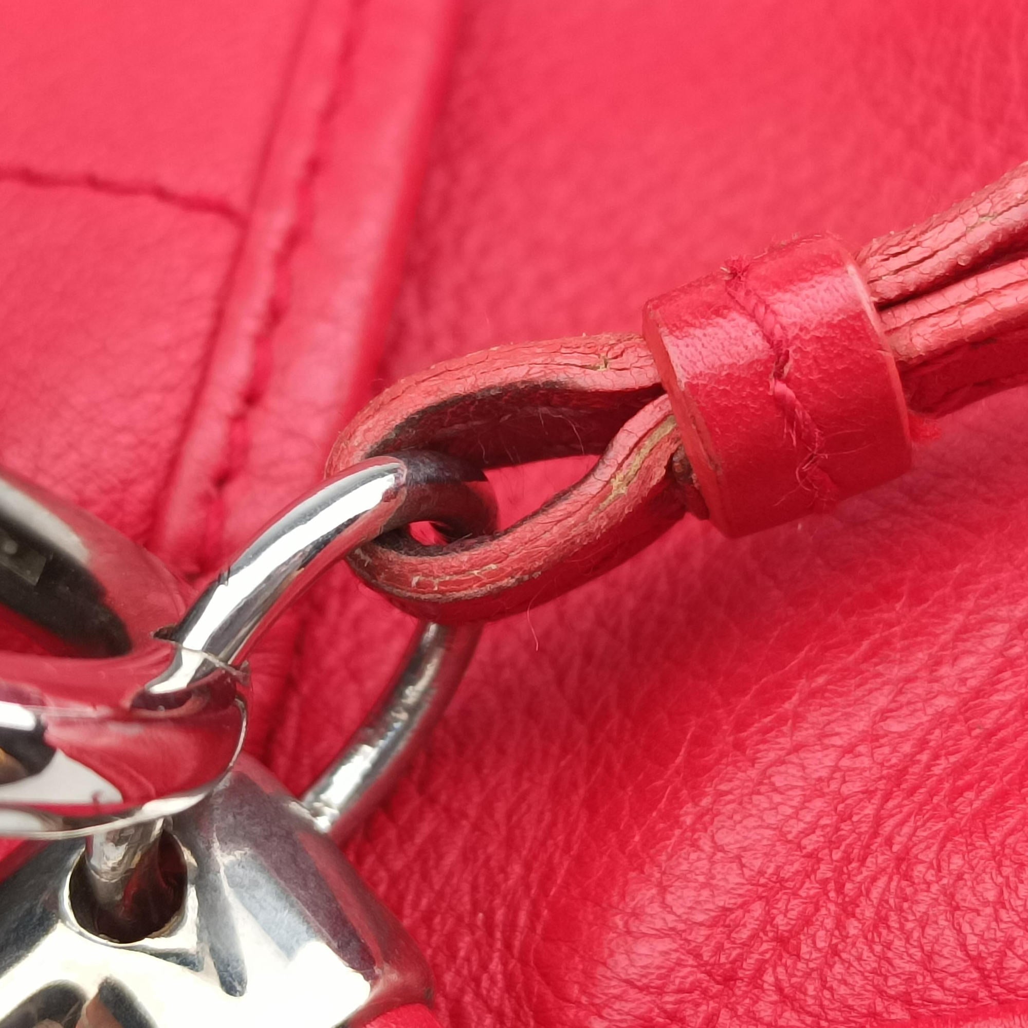 Pre-owned Christian Dior Hobo Red Leather  handbag | stylenewstar