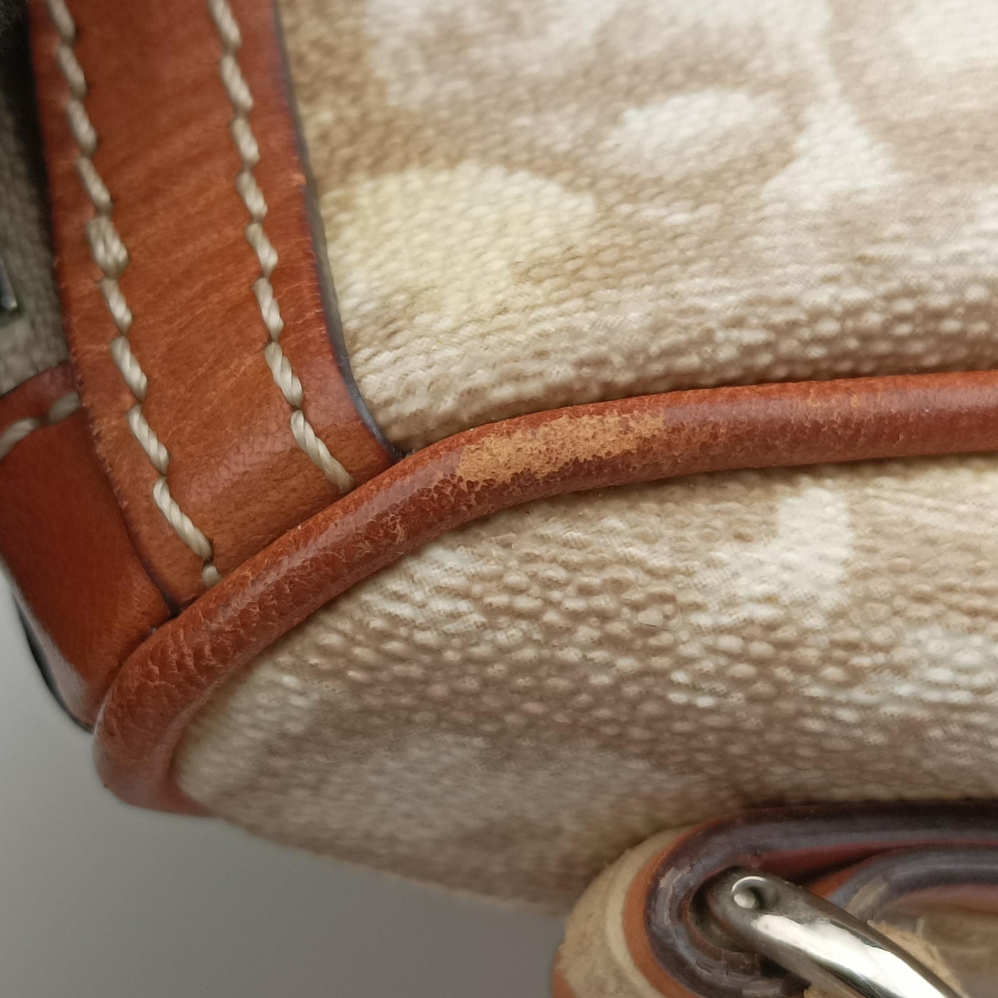 Pre-owned Christian Dior Trotter Romantic Beige×brown PVC coated canvas×Leather  shoulderbag | stylenewstar