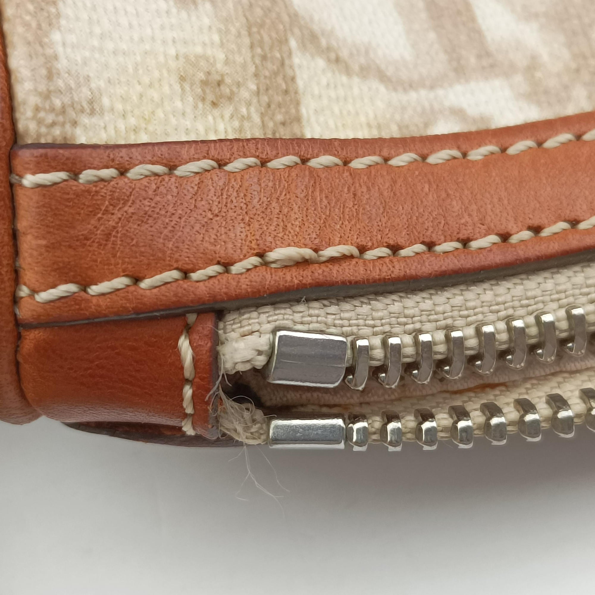 Pre-owned Christian Dior Trotter Romantic Beige×brown PVC coated canvas×Leather  shoulderbag | stylenewstar