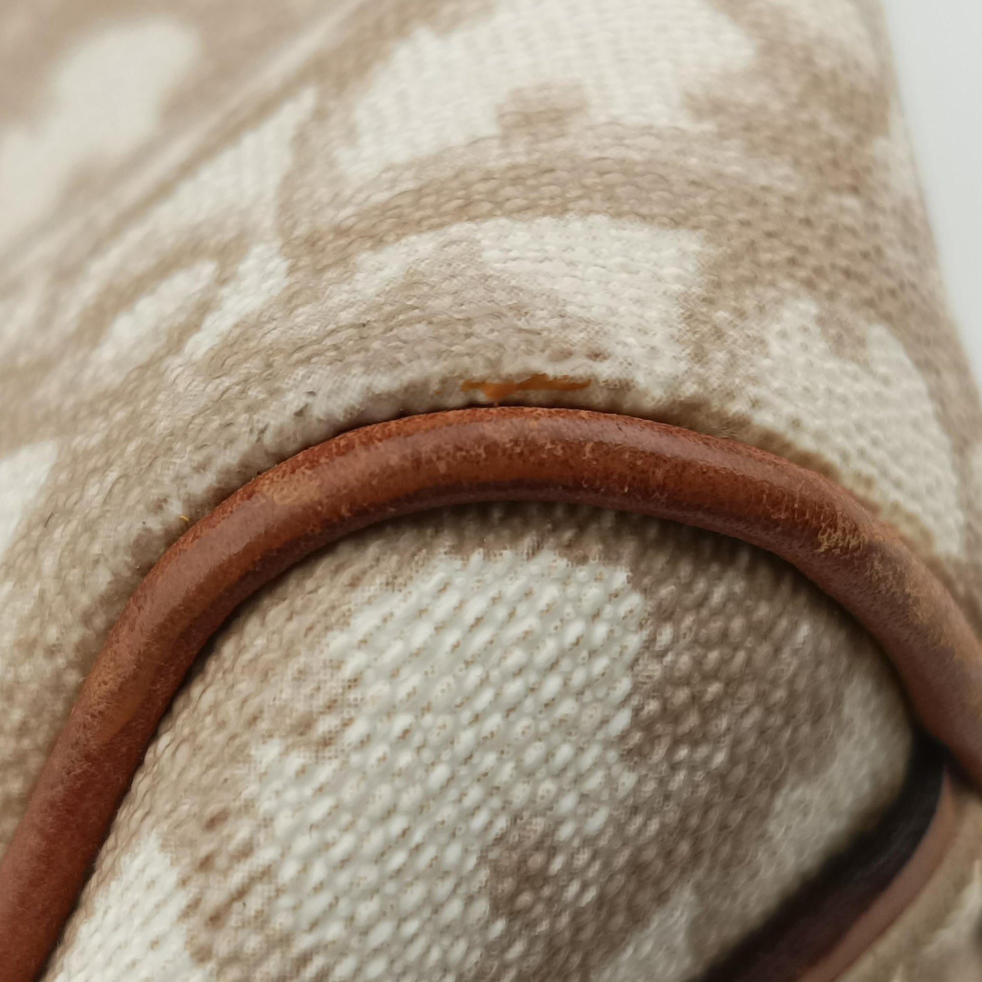 Pre-owned Christian Dior Trotter Romantic Beige×brown PVC coated canvas×Leather  shoulderbag | stylenewstar