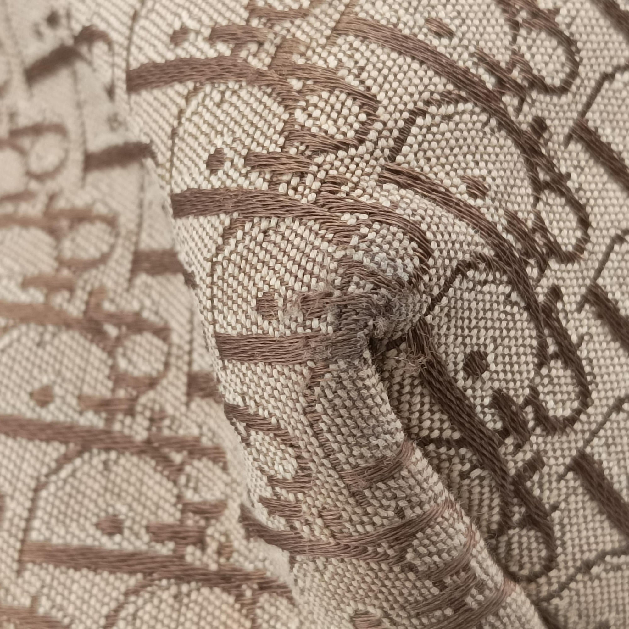 Pre-owned Christian Dior Street Chic Messenger Brown ×Beige Jacquard Canvas×Leather  shoulderbag | stylenewstar
