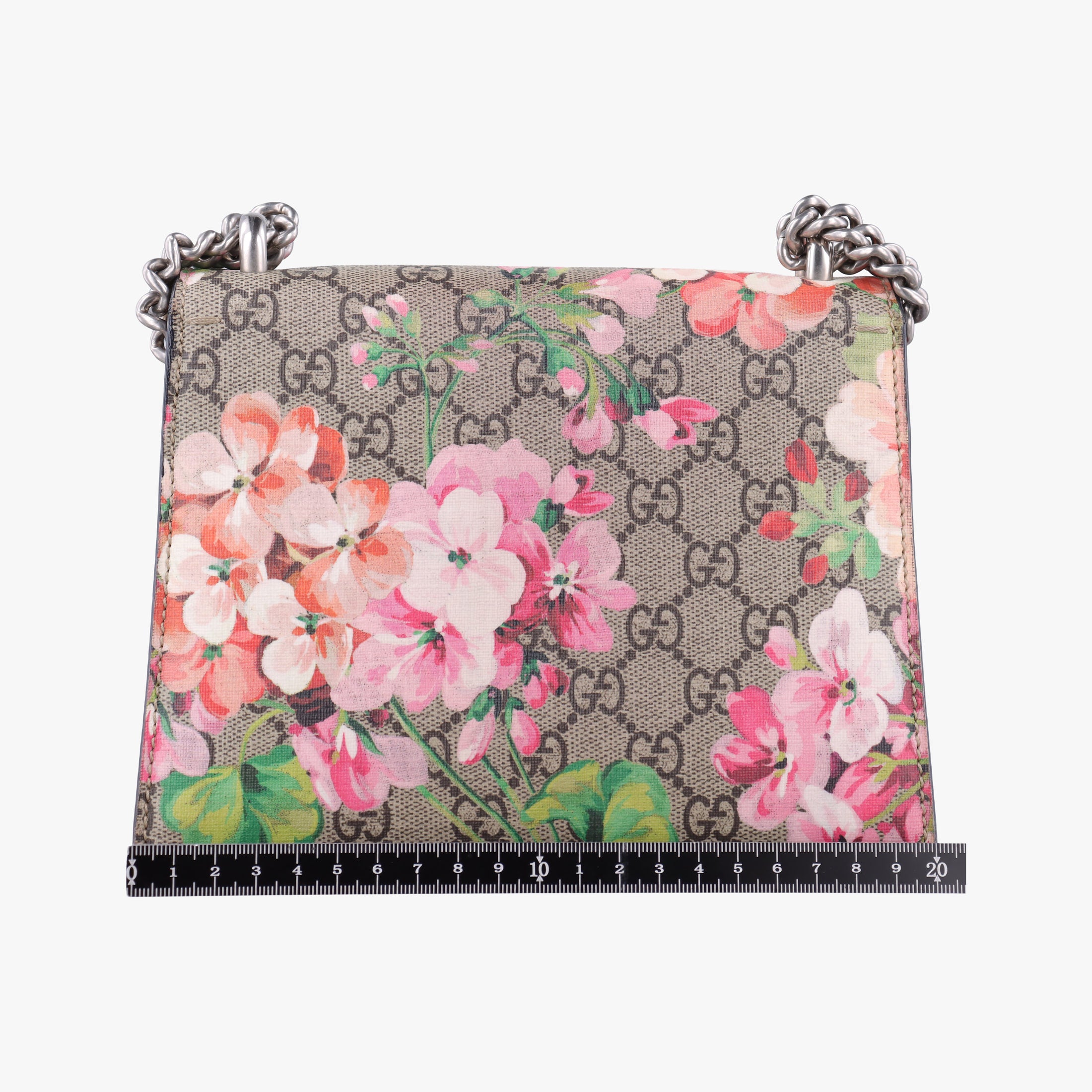 Secondhand Gucci Dionysus beige×red×multicolor PVC coated canvas × suede 421970 shoulderbag | stylenewstar