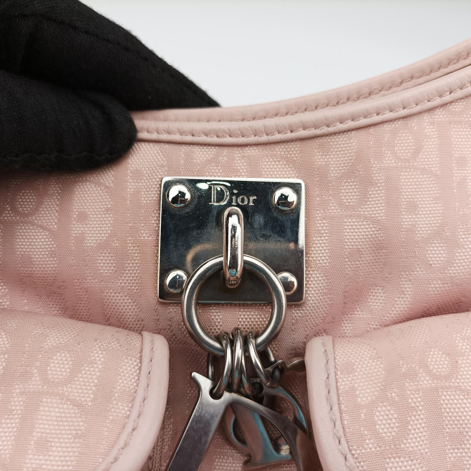 Pre-owned Christian Dior Lovely Trotter Pink Cotton Canvas × Leather  handbag | stylenewstar