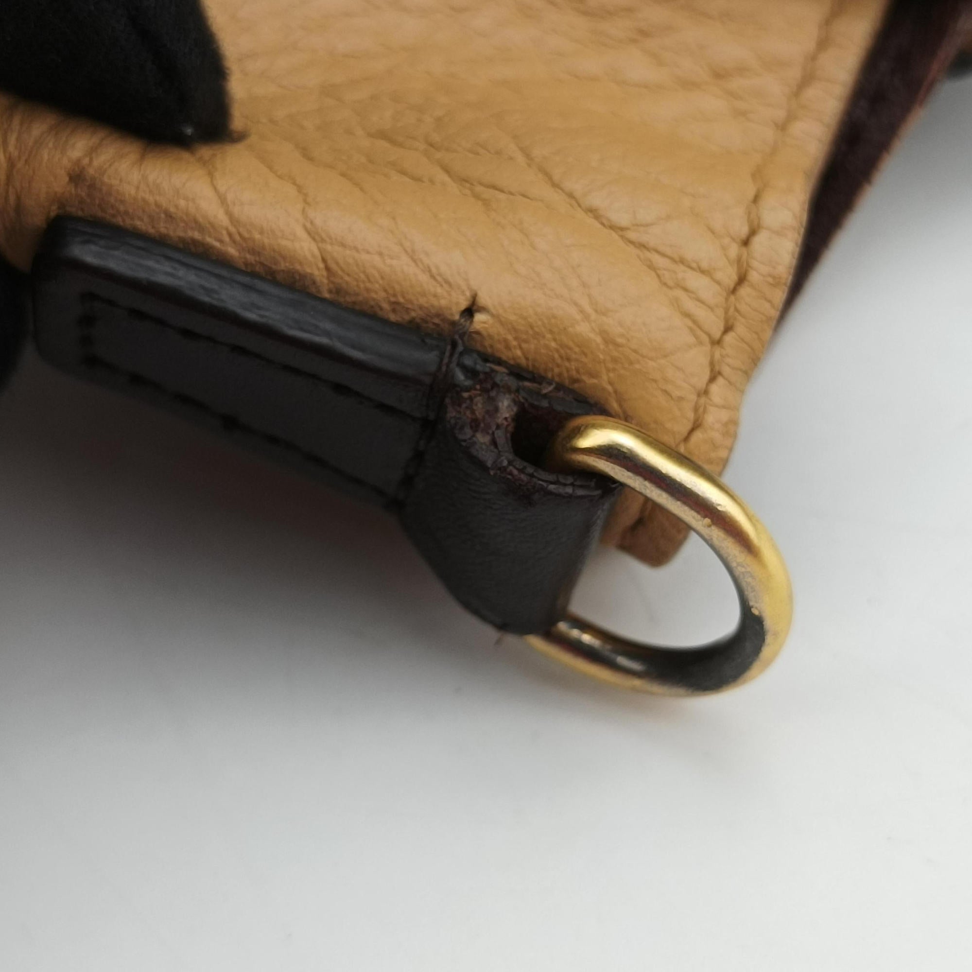 Vintage Celine luggage nano shopper Pink beige×brown×black Leather  shoulderbag | stylenewstar