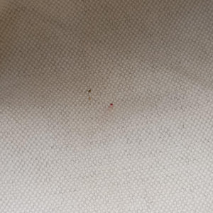 Secondhand Gucci GG Running Beige×Yellow canvas×leather 247183 handbag | stylenewstar