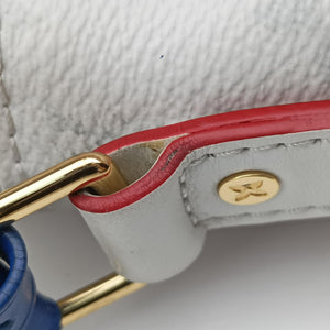 Pre-owned Louis Vuitton LVxNBA Nile Messenger 2021 CR Antarctica PVC coated canvas M45583 shoulderbag | stylenewstar