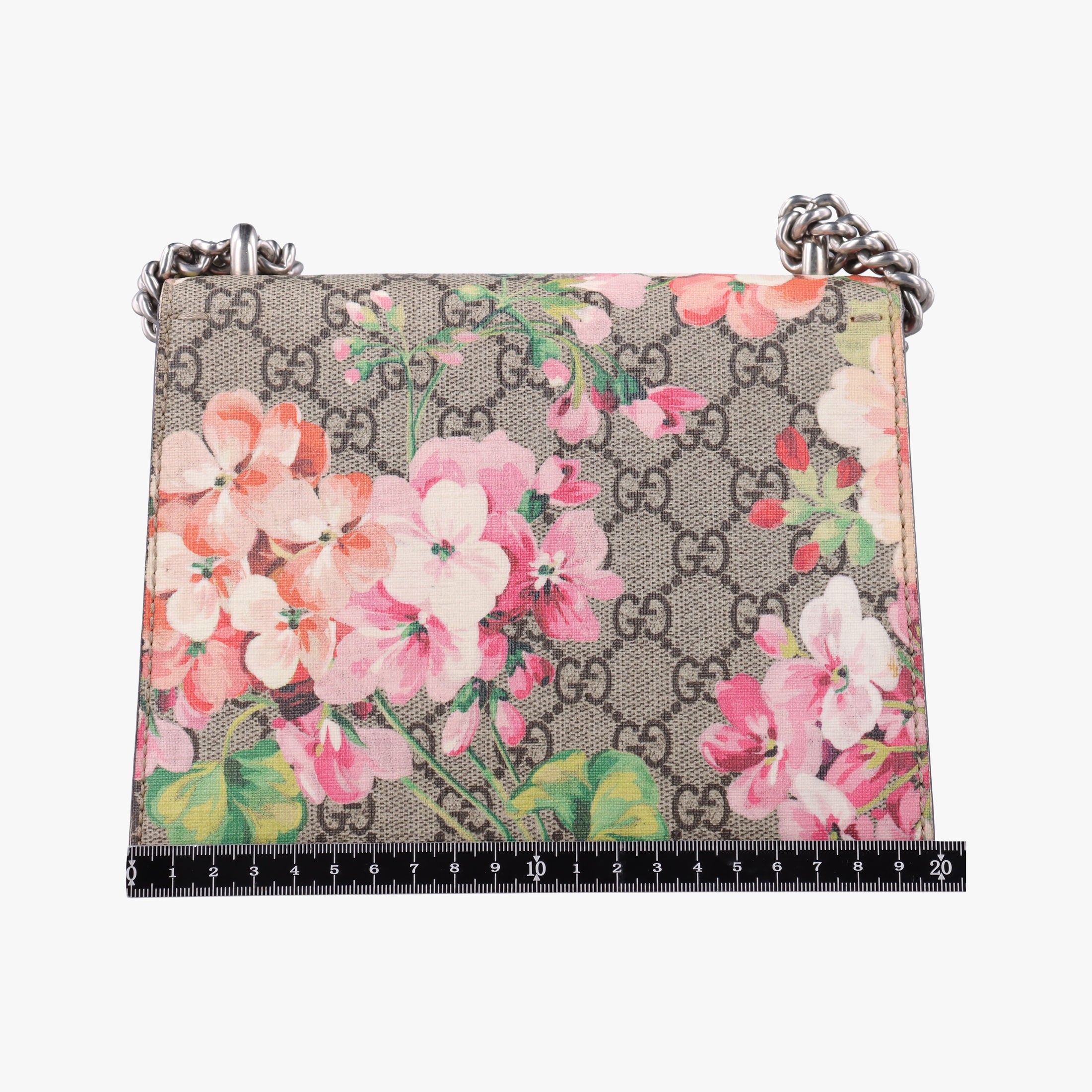 Pre-owned Gucci Dionysus beige×red×Multicolour PVC coated canvas × suede 421970 shoulderbag | stylenewstar
