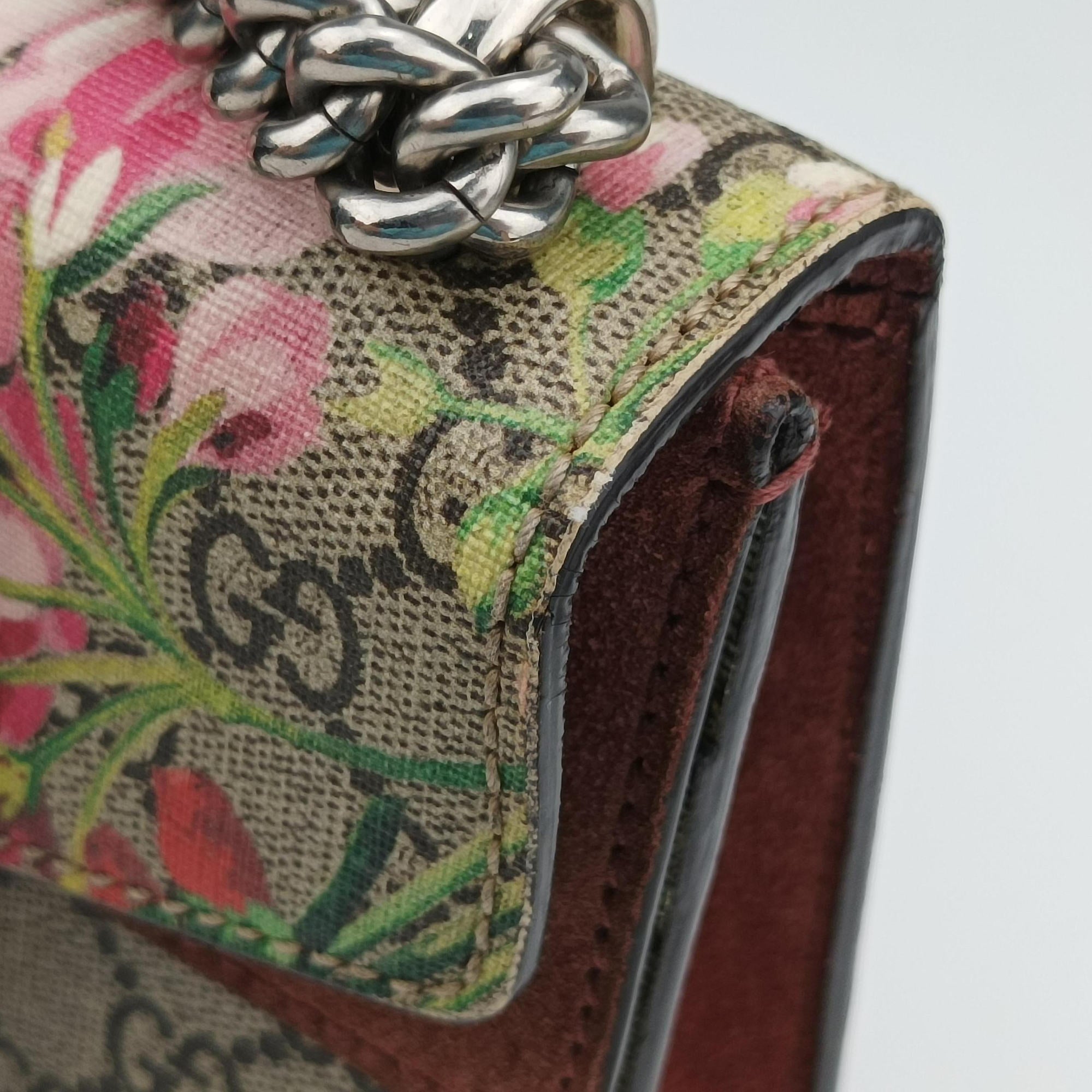 Pre-owned Gucci Dionysus beige×red×Multicolour PVC coated canvas × suede 421970 shoulderbag | stylenewstar