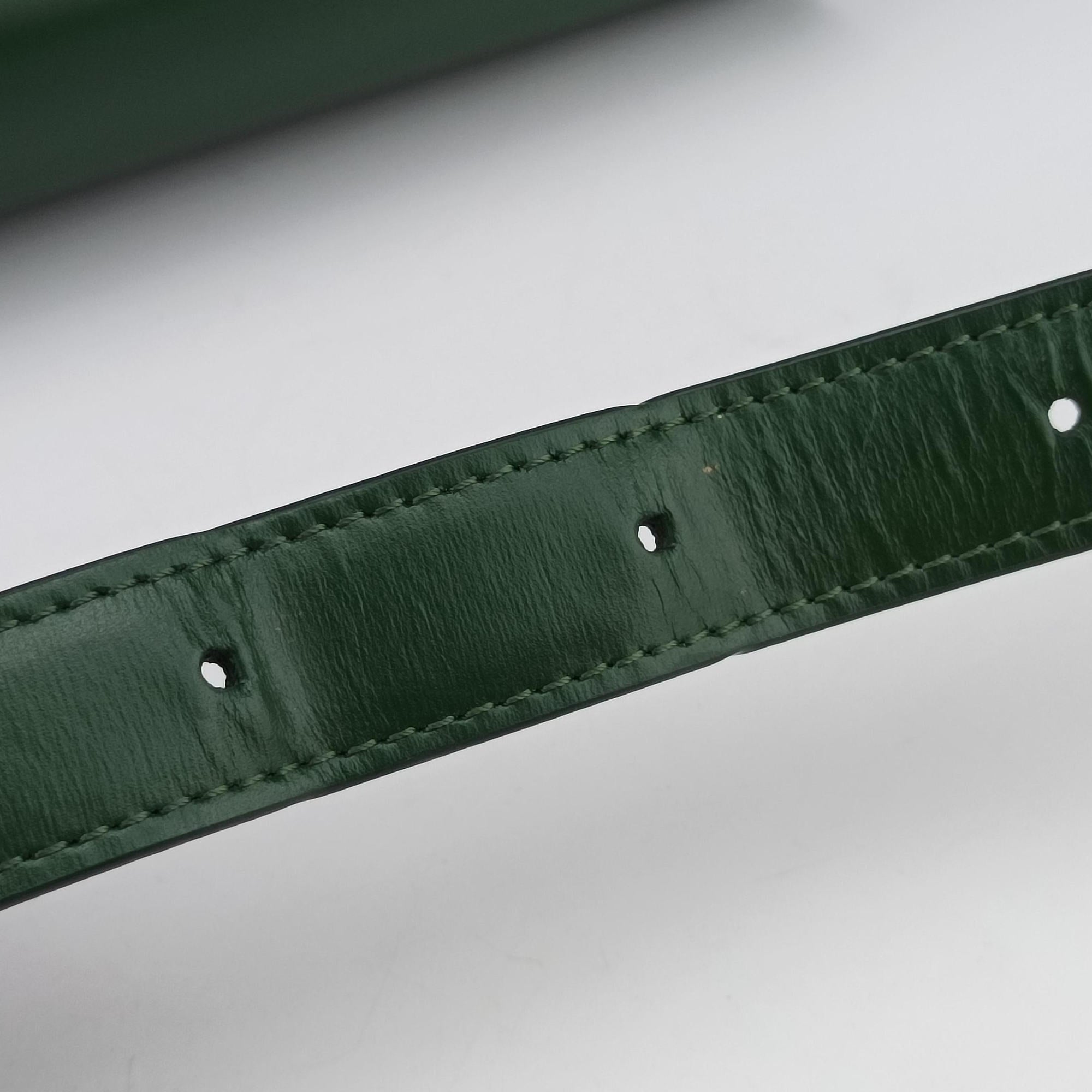 Pre-owned Celine Triomphe Green Leather  shoulderbag | stylenewstar