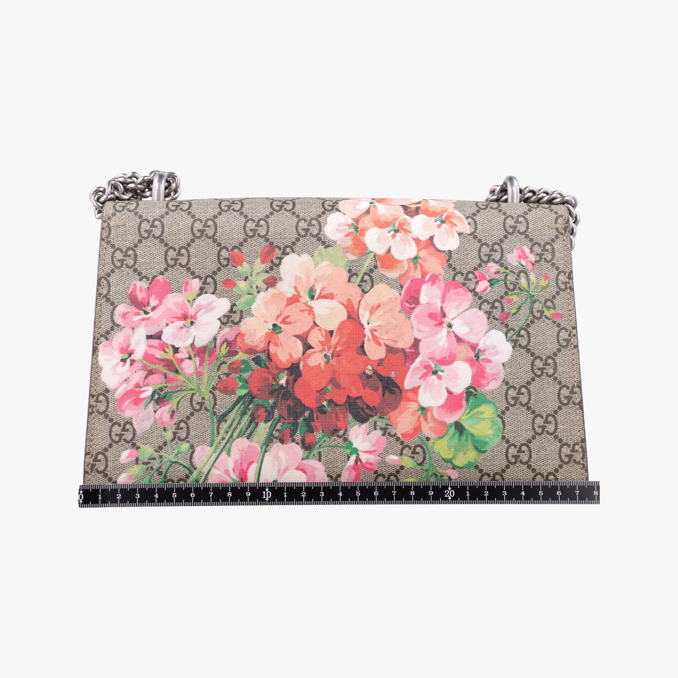 Pre-owned Gucci Dionysus BEIGE×RED×Multicolour PVC coated canvas × suede 400249 shoulderbag | stylenewstar