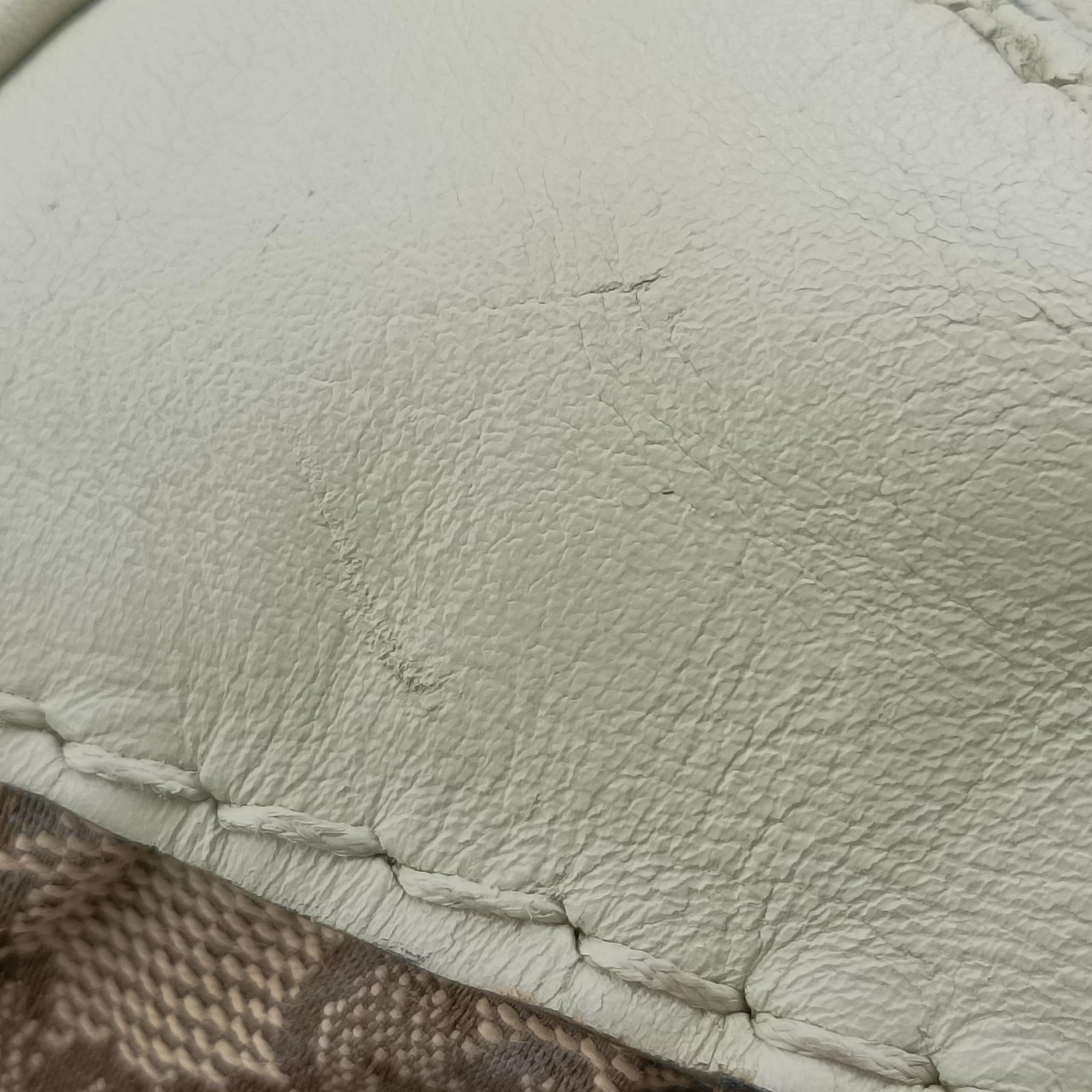 Vintage Gucci Dialux Queen Large White × Brown Leather×canvas 189883 handbag | stylenewstar