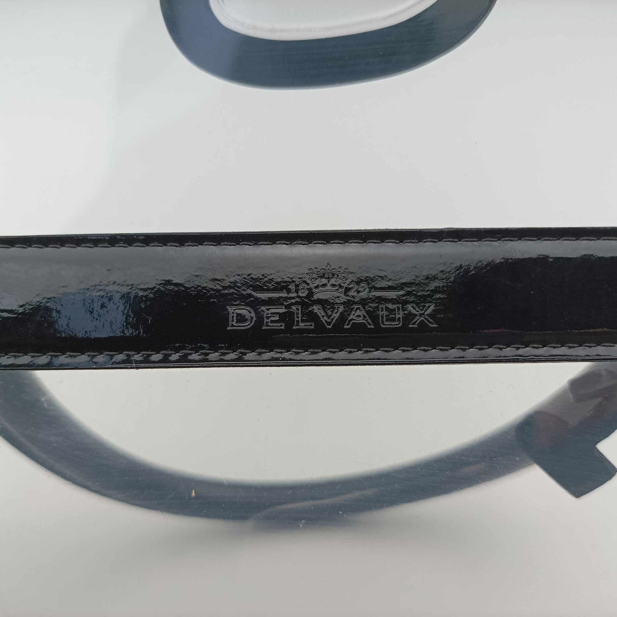 Secondhand Delvaux Brillant X-RAY Limited Edition Clear × Black Transparent PVC  handbag | stylenewstar