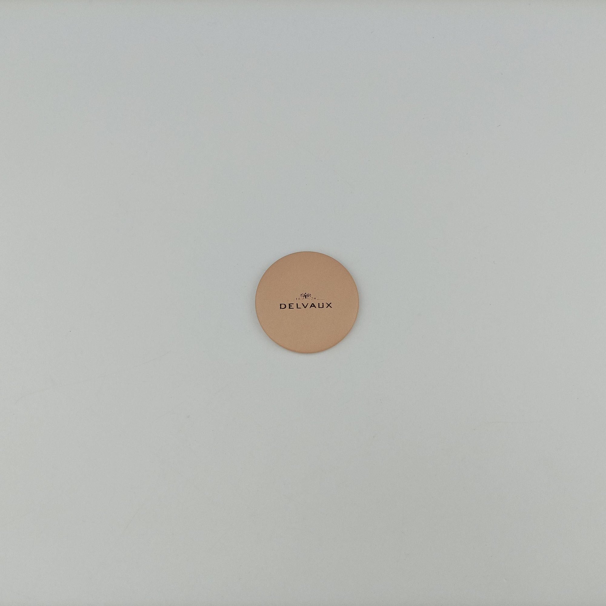 Secondhand Delvaux Brillant Beige Leather  handbag | stylenewstar