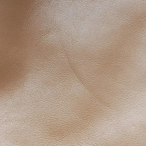 Pre-owned Gucci Dialux Britt Hobo Beige leather 167732 shoulderbag | stylenewstar