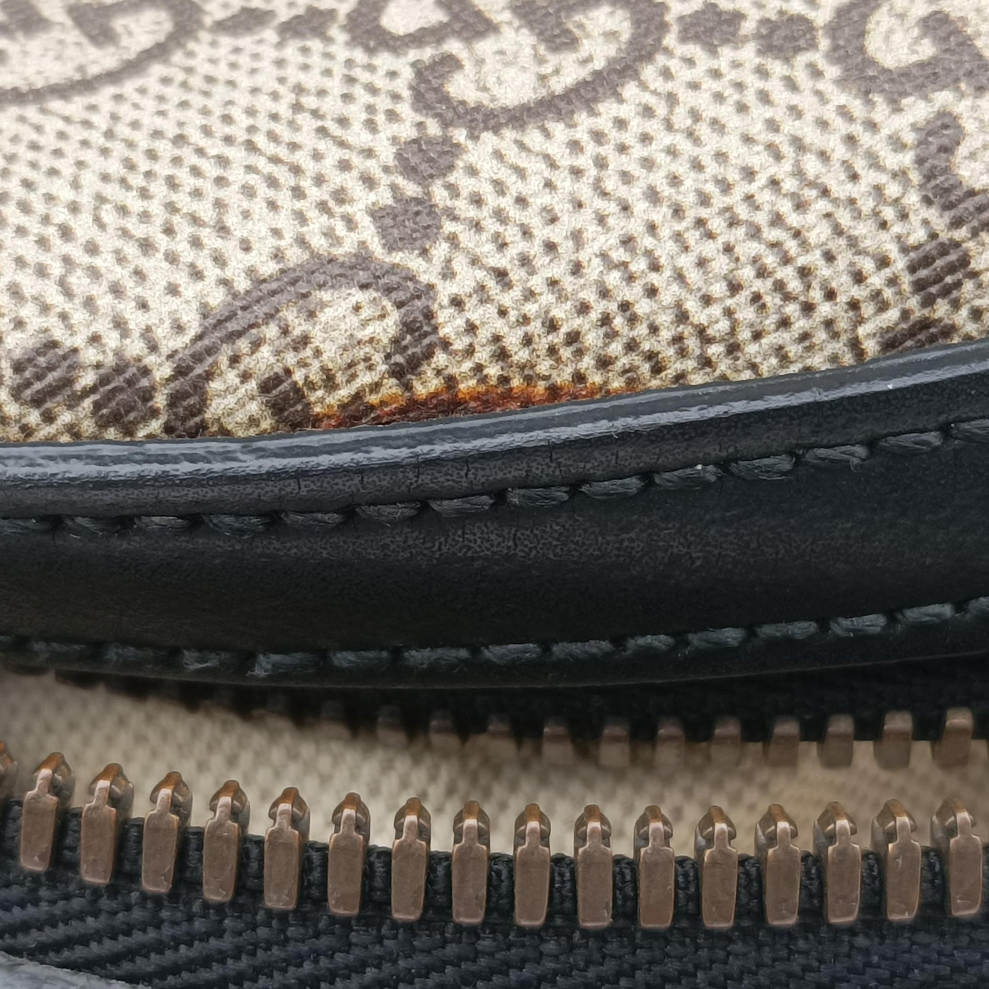 Pre-owned Gucci Kingsnake Print Brown PVC coated canvas×leather 419584 backpack/rucksack | stylenewstar