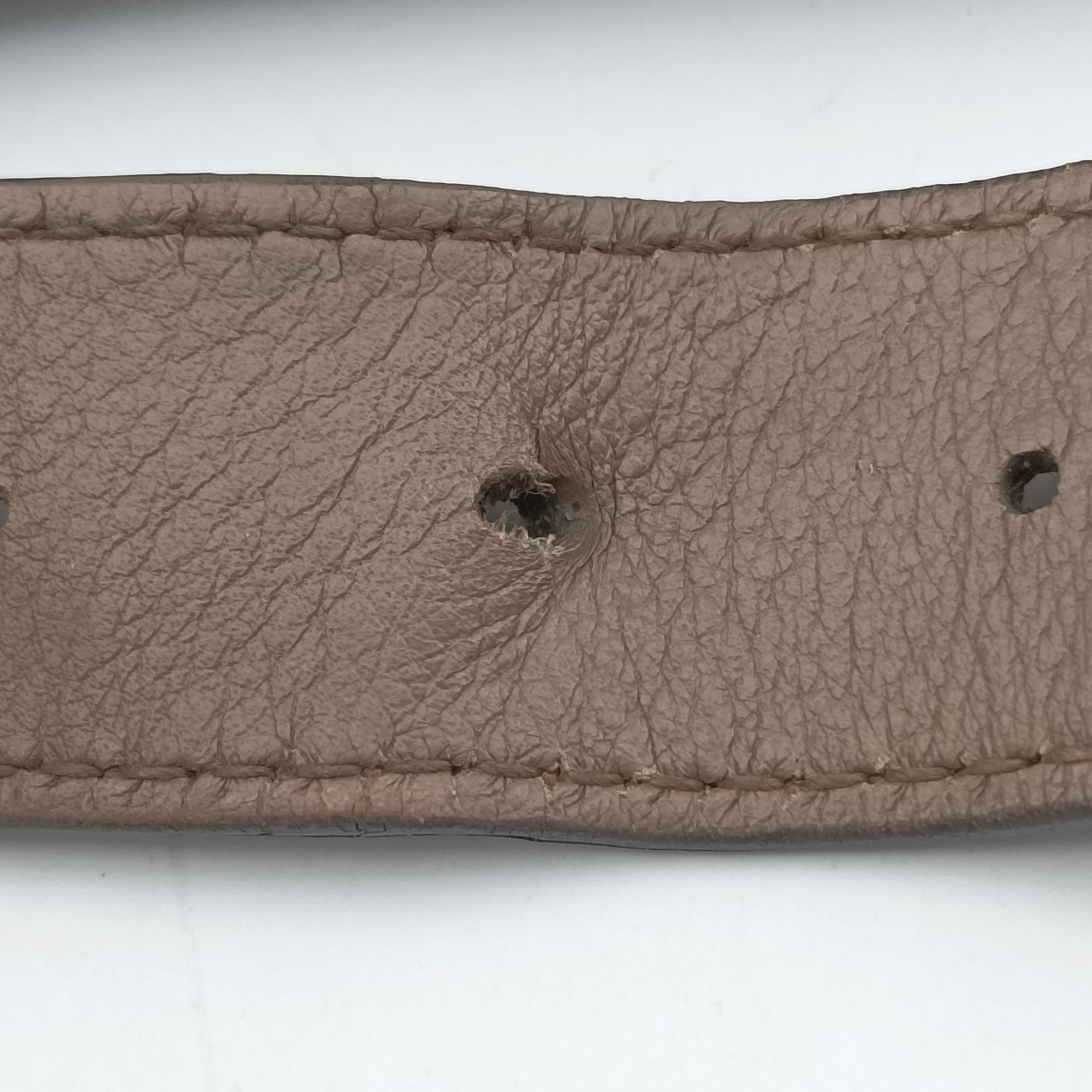 Pre-owned Gucci Guccissima Messenger Camel Leather 223665 shoulderbag | stylenewstar