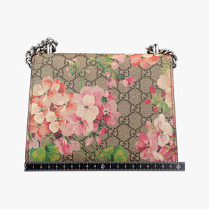 Pre-owned Gucci Dionysus beige×red×multicolor PVC coated canvas × suede 421970 shoulderbag | stylenewstar