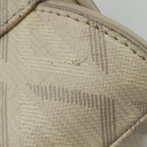 Pre-owned Christian Dior Saddle Beige PVC coated canvas × leather  bum bag/waist bag | stylenewstar