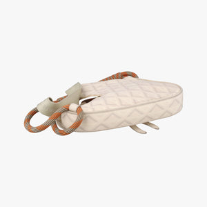 Pre-owned Christian Dior Saddle Beige PVC coated canvas × leather  bum bag/waist bag | stylenewstar