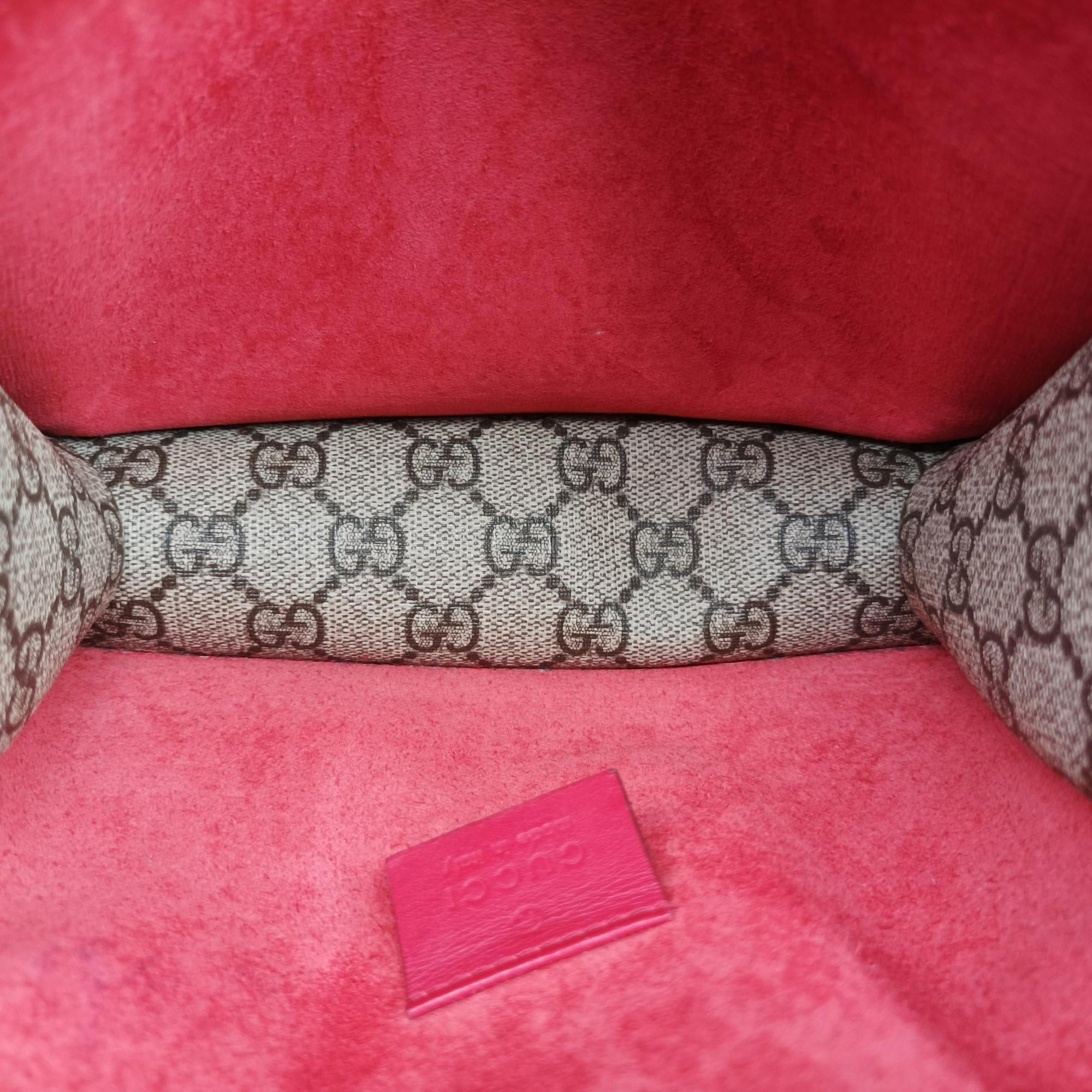 Pre-owned Gucci Dionysus beige×red PVC coated canvas × suede 421970 shoulderbag | stylenewstar