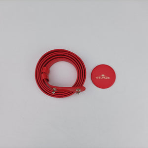 Pre-owned Delvaux Brillant Mini Red Enamel  shoulderbag | stylenewstar