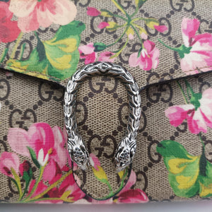 Pre-owned Gucci Dionysus Multicolour PVC coated canvas 401231 shoulderbag | stylenewstar