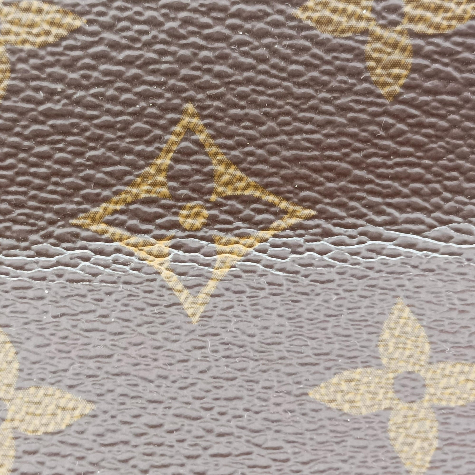 Pre-owned Louis Vuitton Venus brown×RAISIN Monogram Canvas×calf leather M42413 handbag | stylenewstar