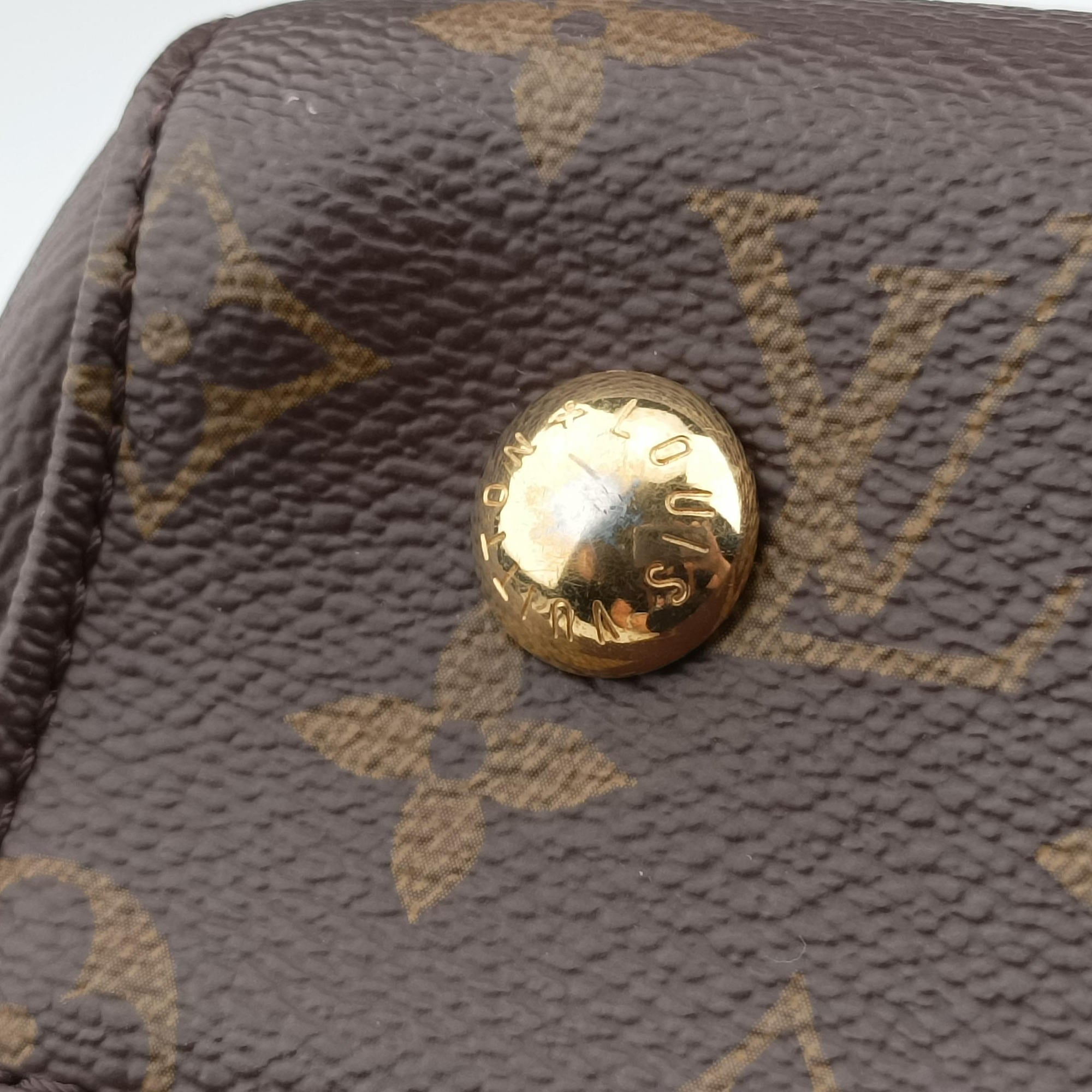 Pre-owned Louis Vuitton Venus brown×RAISIN Monogram Canvas×calf leather M42413 handbag | stylenewstar