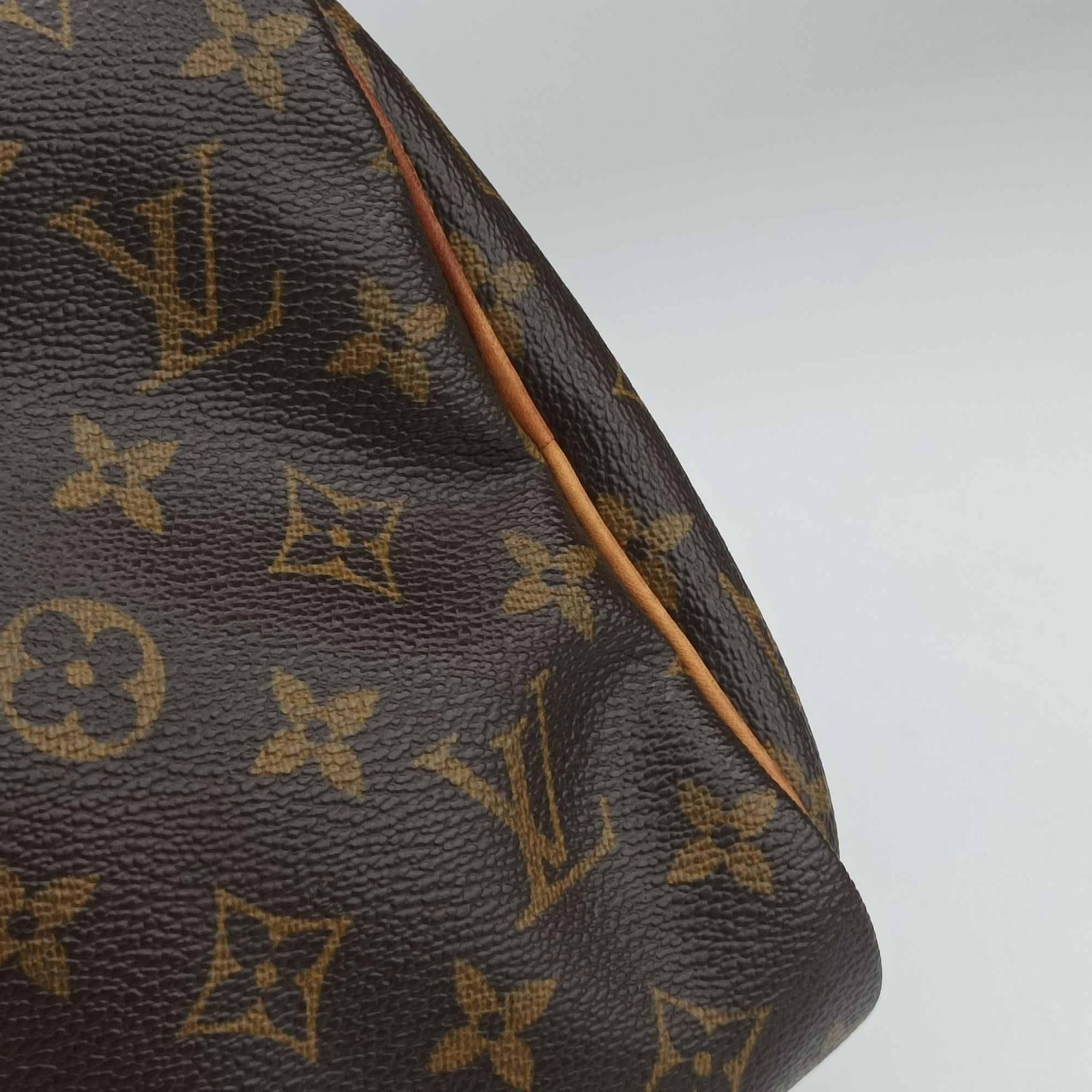 Vintage Louis Vuitton Speedy 30 BROWN Monogram Canvas M41526 handbag | stylenewstar