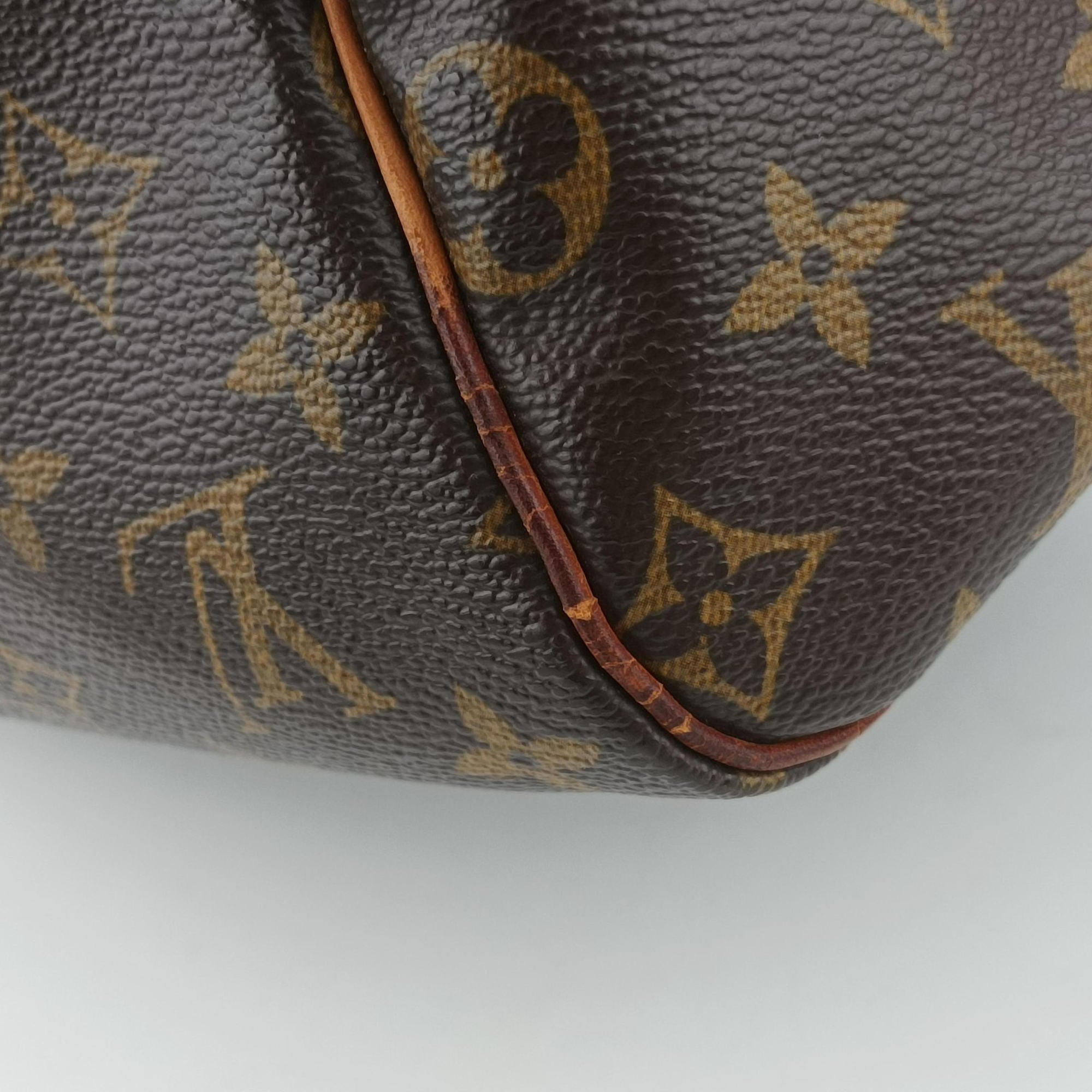 Vintage Louis Vuitton Speedy 30 BROWN Monogram Canvas M41526 handbag | stylenewstar