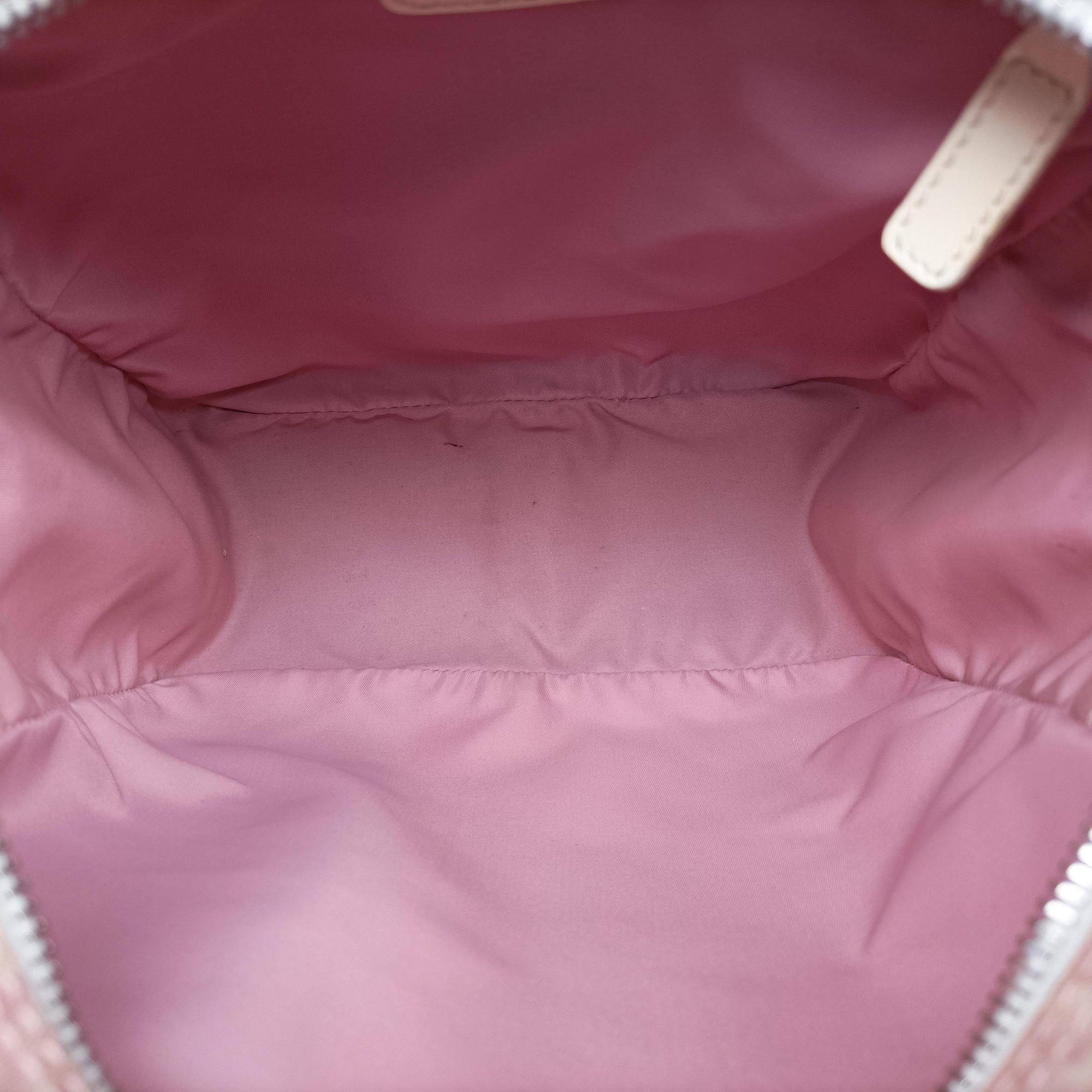 Pre-owned Christian Dior Trotter Pink Coated Canvas Leather  shoulderbag | stylenewstar